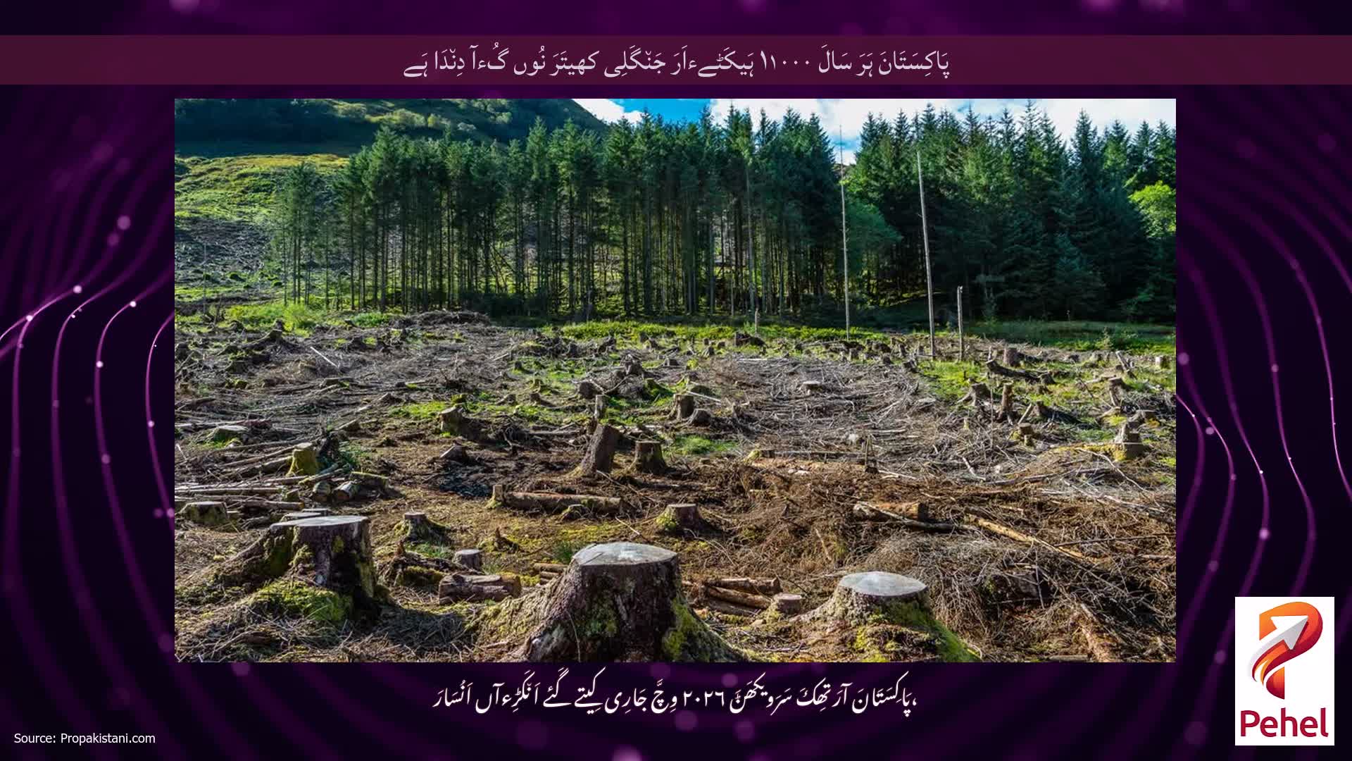 پَاکِسَتَانَ ہَرَ سَالَ ۱۱۰۰۰ ہَیکَٹےءاَرَ جَن٘گَلِی کھیتَرَ نُوں گُءآ دِن٘دَا ہَے