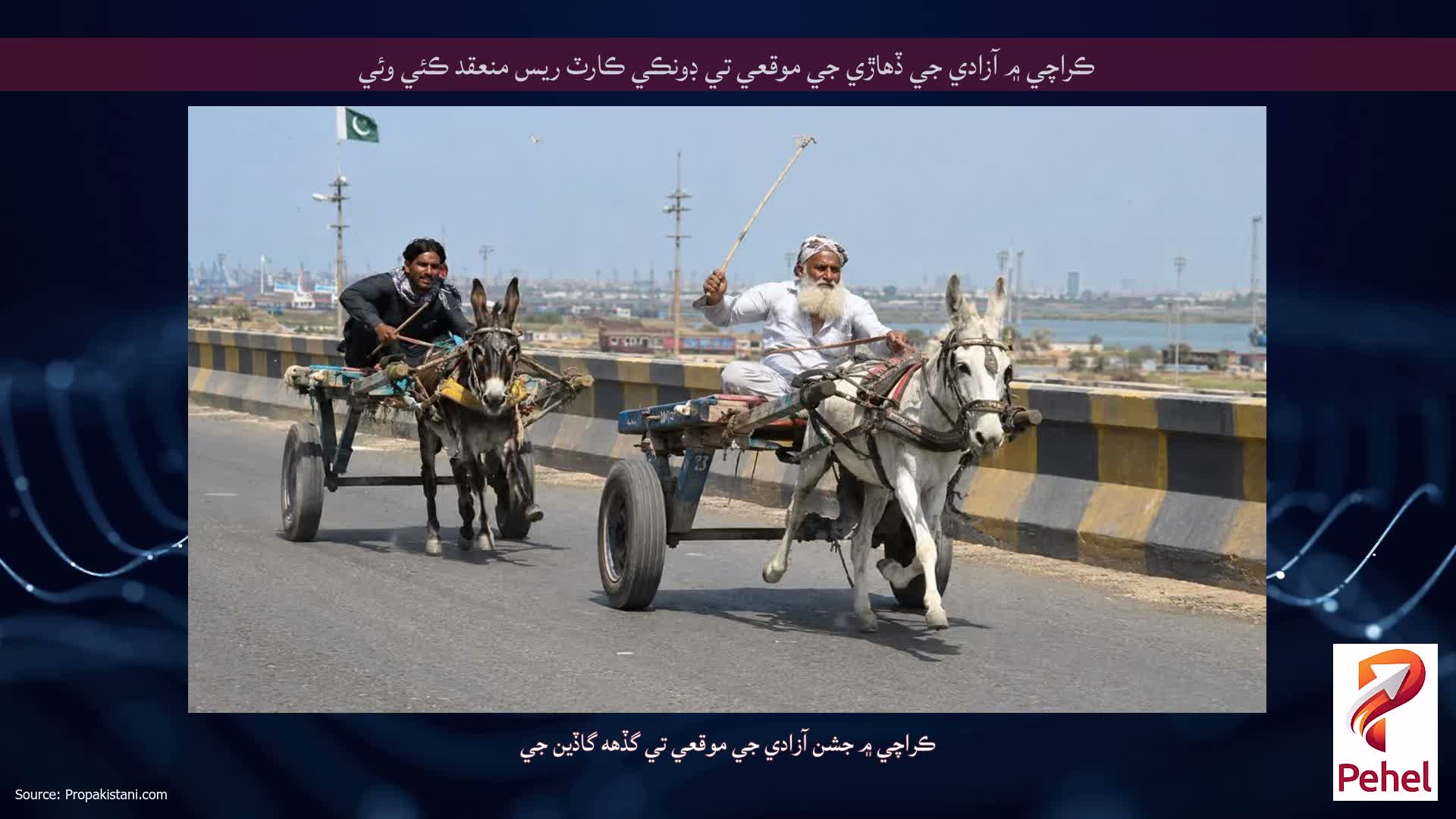 ڪراچي ۾ آزادي جي ڏهاڙي جي موقعي تي ڊونڪي ڪارٽ ريس منعقد ڪئي وئي