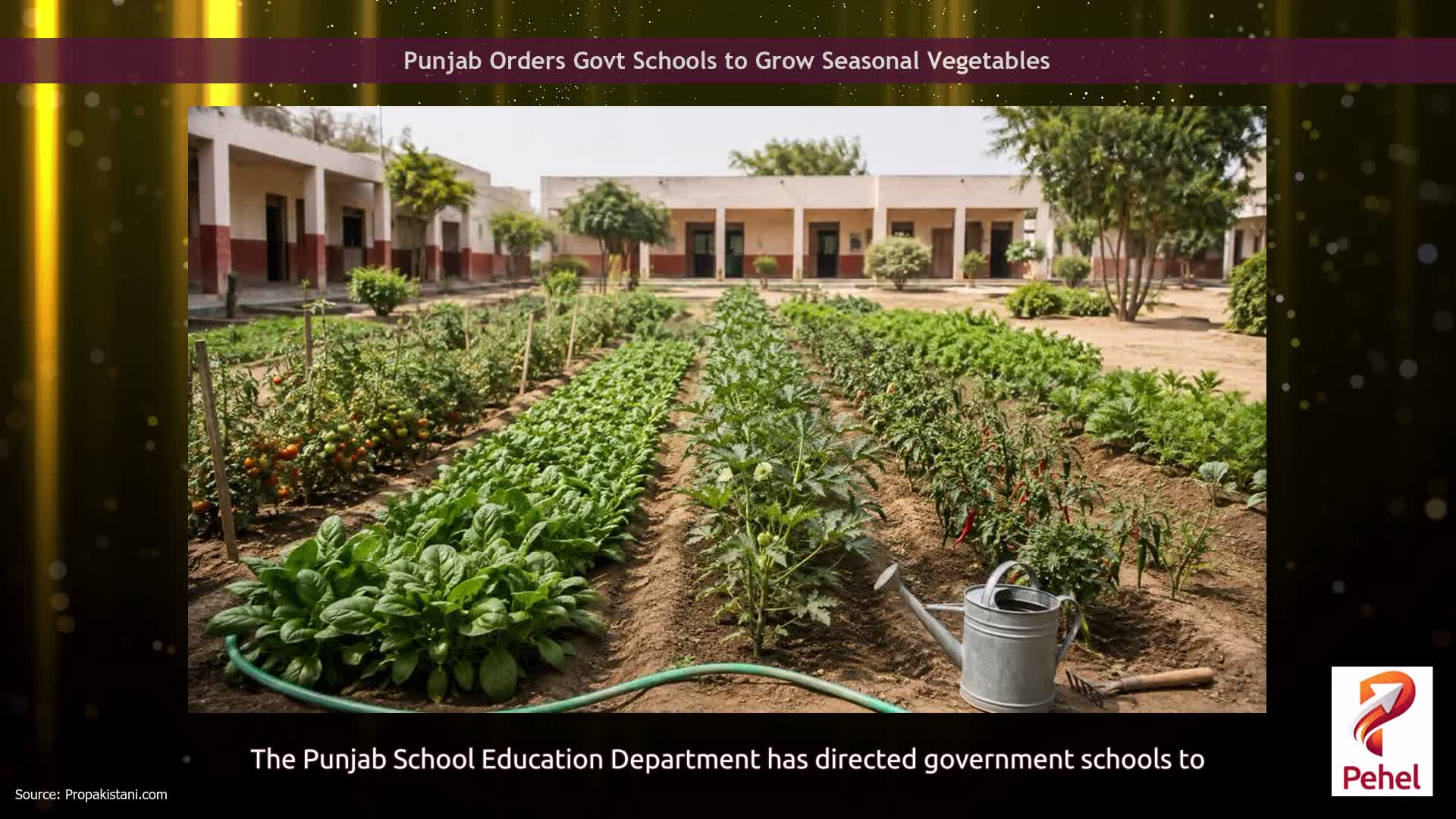 Punjab Orders Govt Schools to Grow Seasonal Vegetables