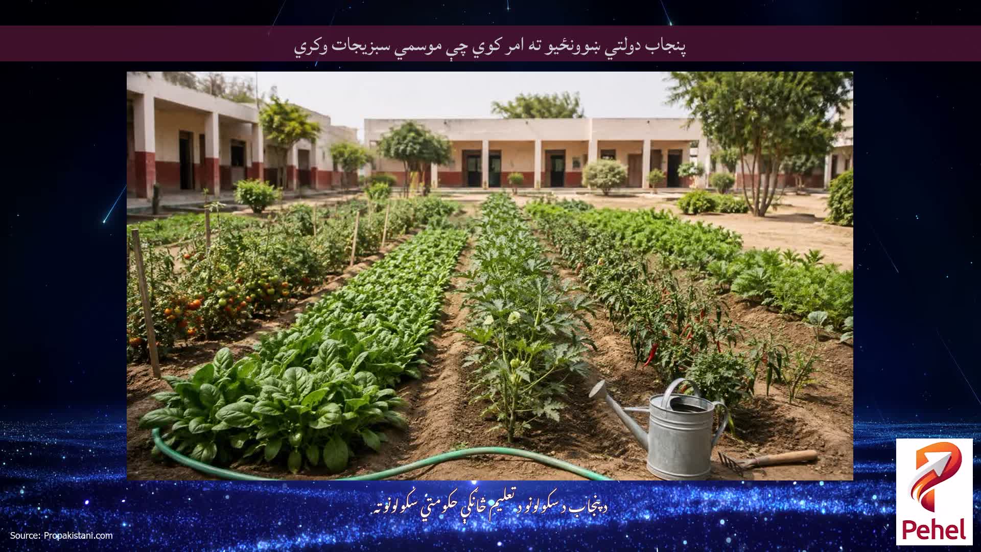 پنجاب دولتي ښوونځيو ته امر کوي چې موسمي سبزیجات وکري