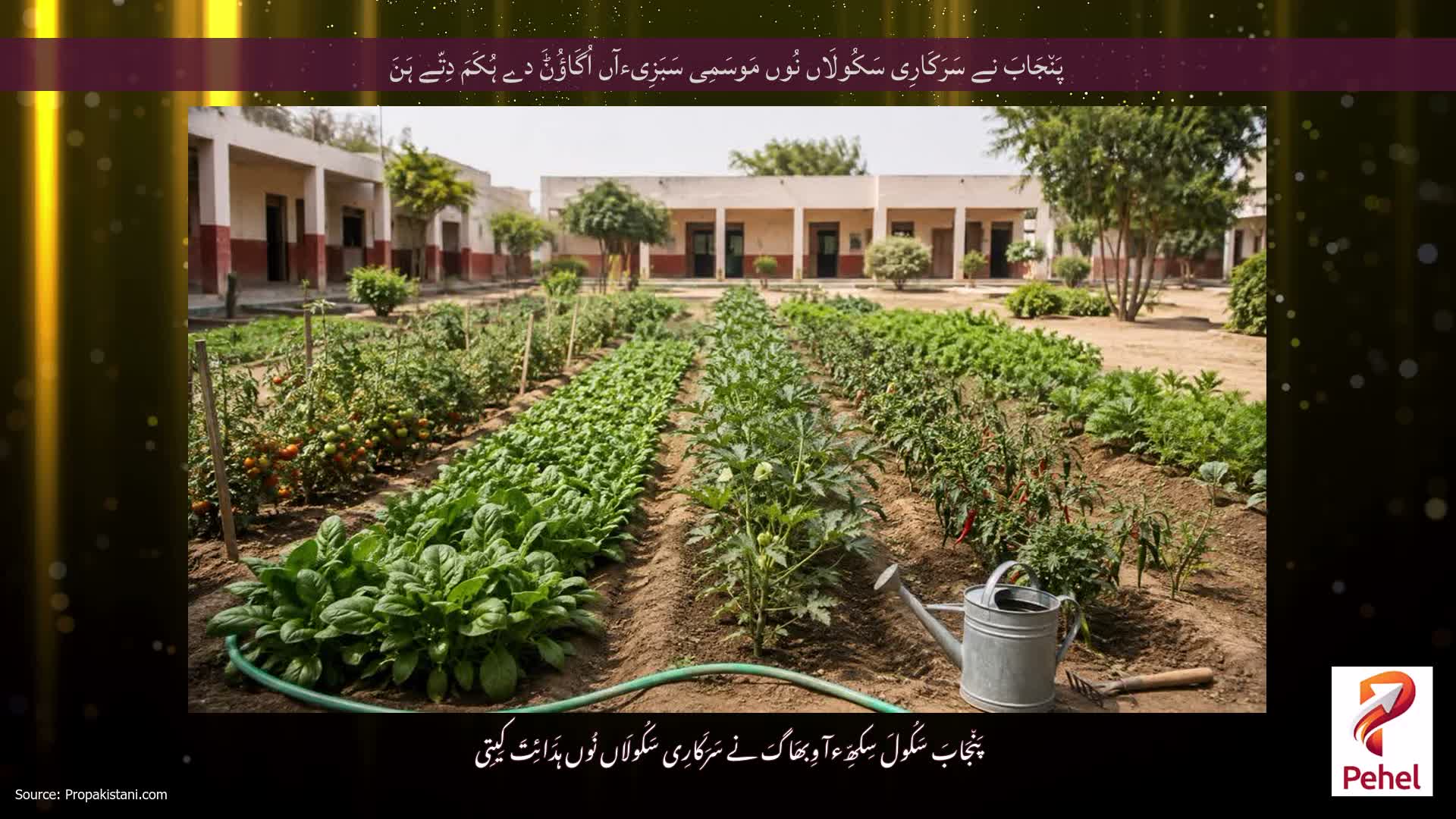 پَن٘جَابَ نے سَرَکَارِی سَکُولَاں نُوں مَوسَمِی سَبَزِیءآں اُگَاؤُݨَ دے ہُکَمَ دِتّے ہَنَ