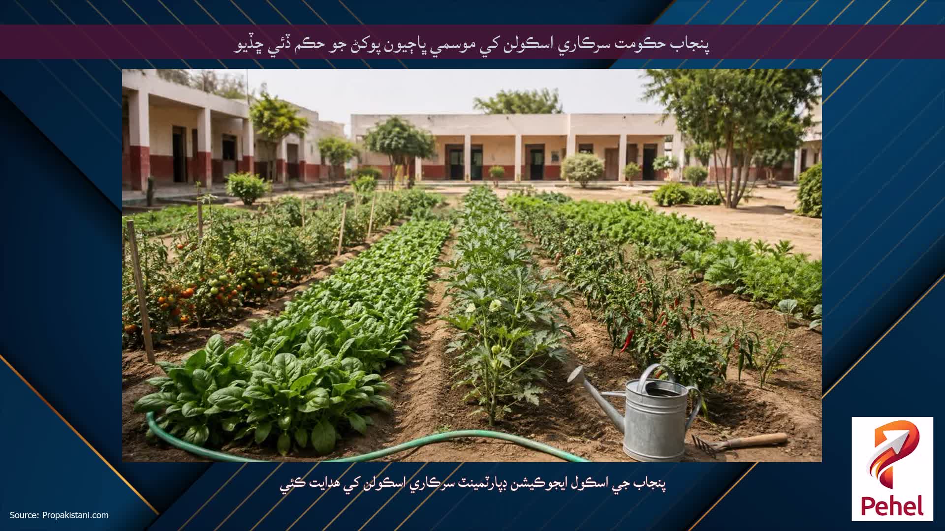 پنجاب حڪومت سرڪاري اسڪولن کي موسمي ڀاڄيون پوکڻ جو حڪم ڏئي ڇڏيو