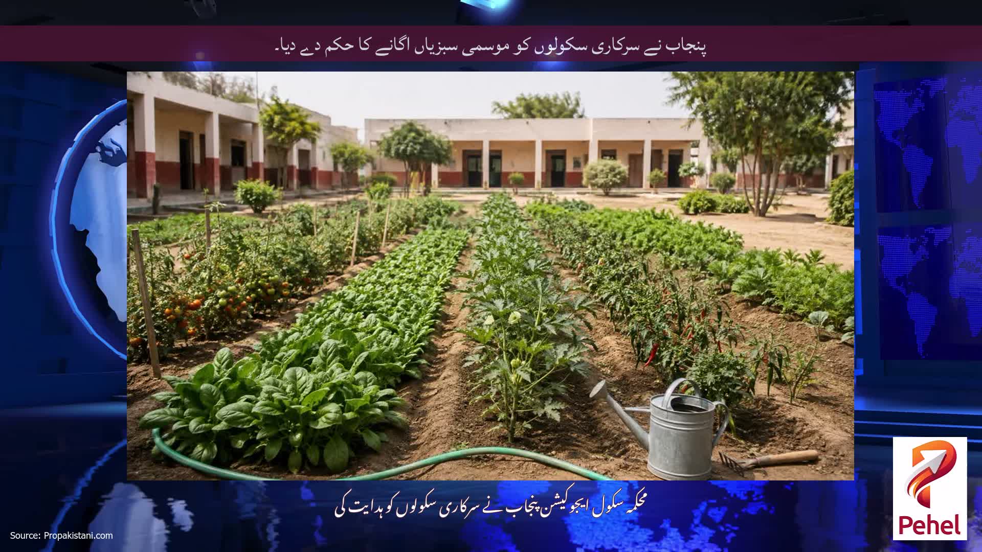 پنجاب نے سرکاری سکولوں کو موسمی سبزیاں اگانے کا حکم دے دیا۔