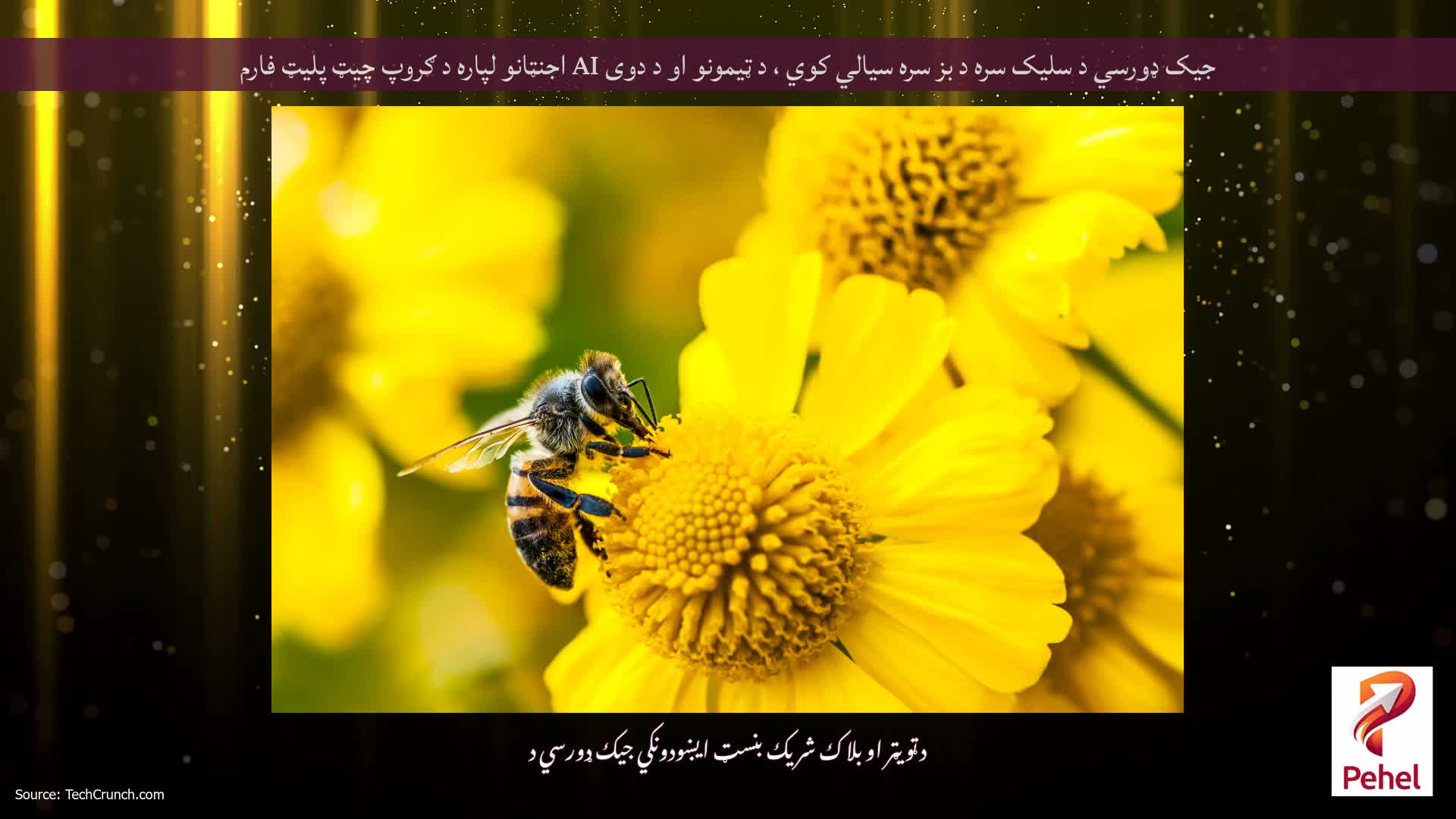 جیک ډورسي د سلیک سره د بز سره سیالي کوي ، د ټیمونو او د دوی AI اجنټانو لپاره د ګروپ چیټ پلیټ فارم