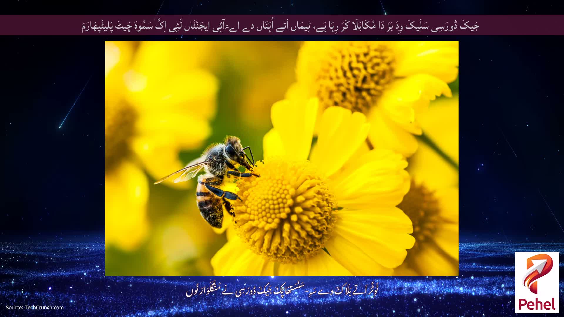 جَیکَ ڈورَسِی سَلَیکَ وِدَ بَزَ دَا مُکَابَلَا کَرَ رِہَا ہَے، ٹِیمَاں اَتے اُہَنَاں دے اےءآئِی ایجَن٘ٹَاں لَئِی اِکَّ سَمُوہَ چَیٹَ پَلیٹَپھَارَمَ
