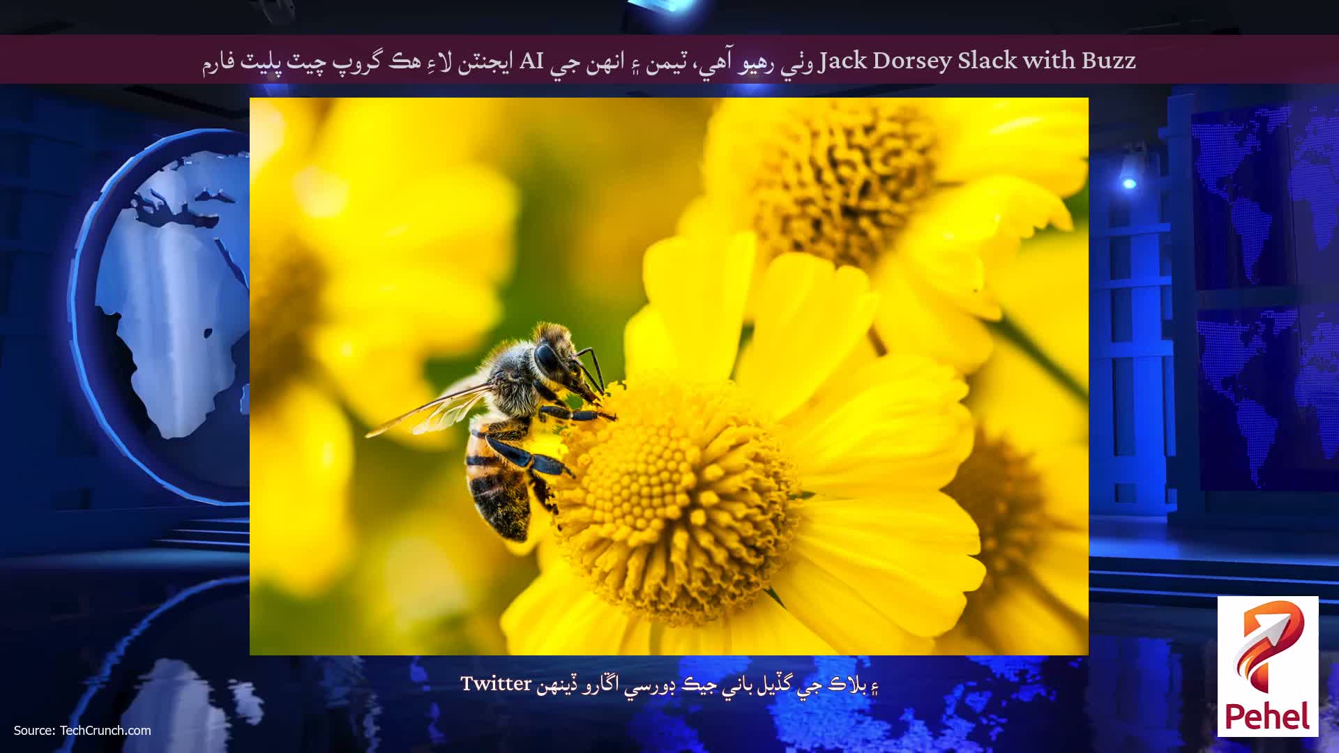 Jack Dorsey Slack with Buzz وٺي رهيو آهي، ٽيمن ۽ انهن جي AI ايجنٽن لاءِ هڪ گروپ چيٽ پليٽ فارم