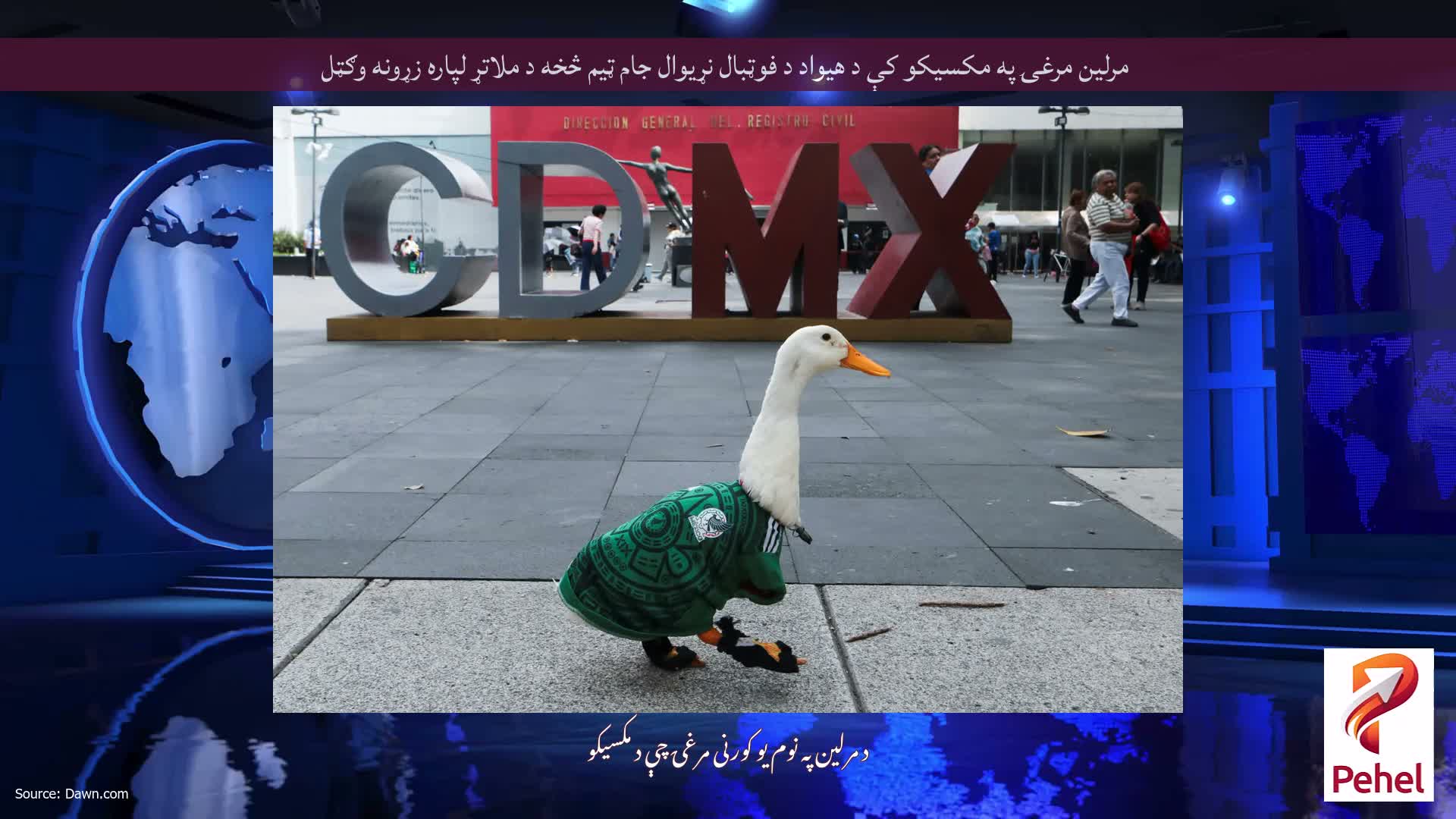 مرلین مرغۍ په مکسیکو کې د هیواد د فوټبال نړیوال جام ټیم څخه د ملاتړ لپاره زړونه وګټل