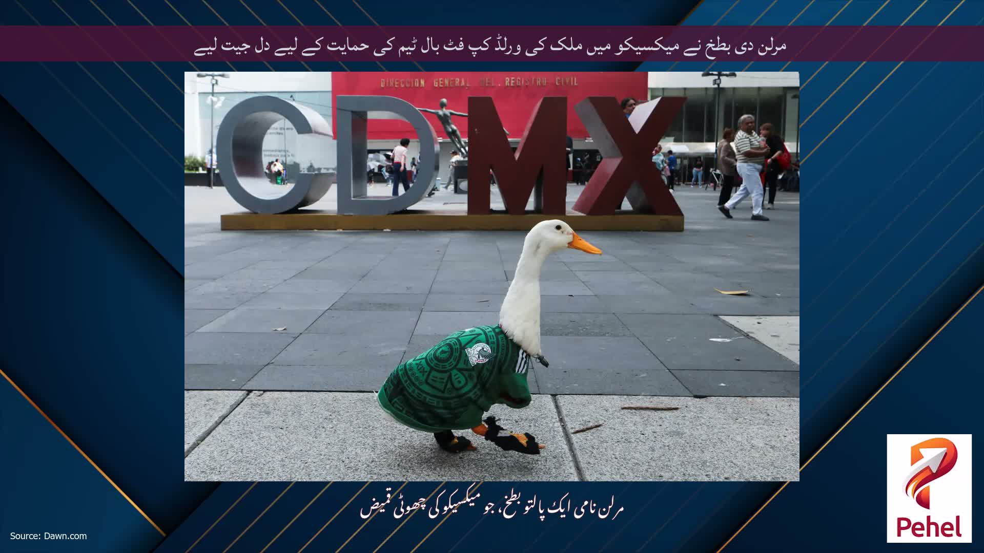 مرلن دی بطخ نے میکسیکو میں ملک کی ورلڈ کپ فٹ بال ٹیم کی حمایت کے لیے دل جیت لیے