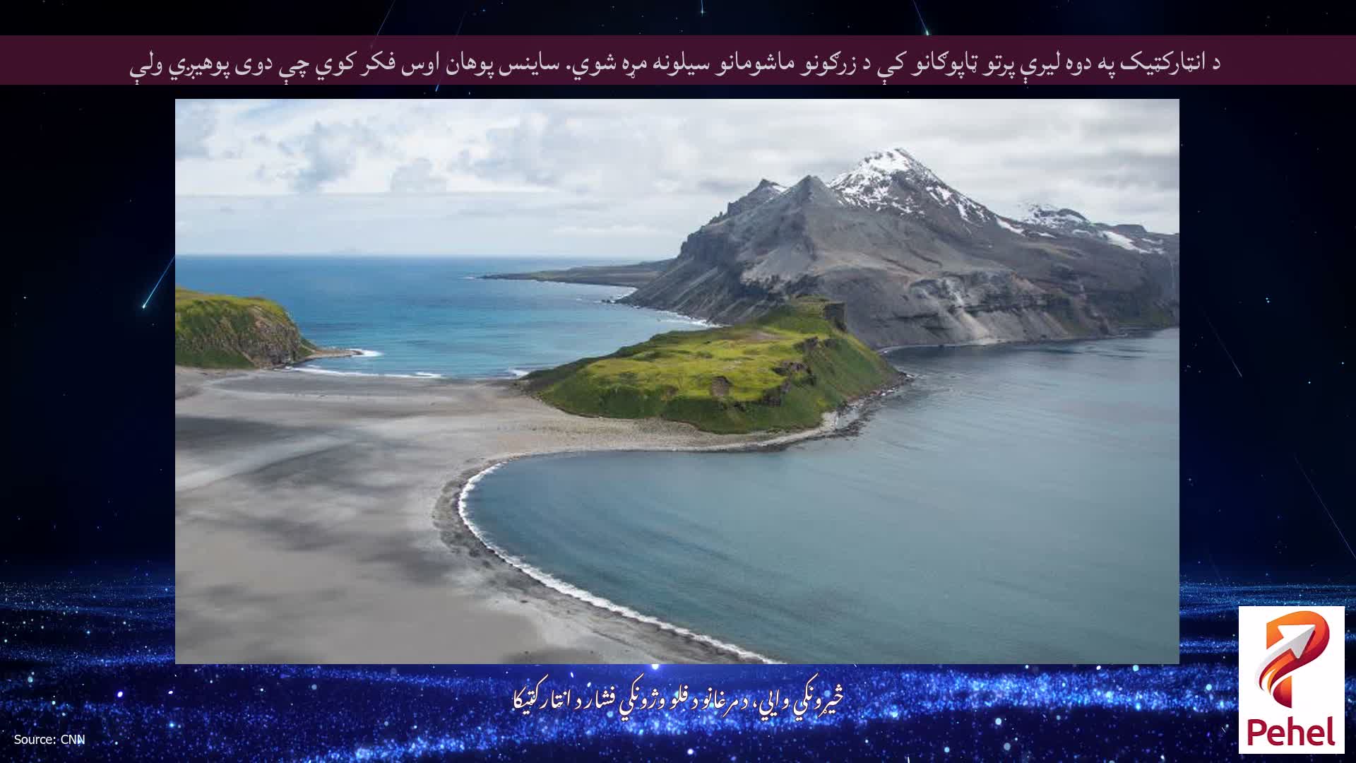 د انټارکټیک په دوه لیرې پرتو ټاپوګانو کې د زرګونو ماشومانو سیلونه مړه شوي. ساینس پوهان اوس فکر کوي چې دوی پوهیږي ولې
