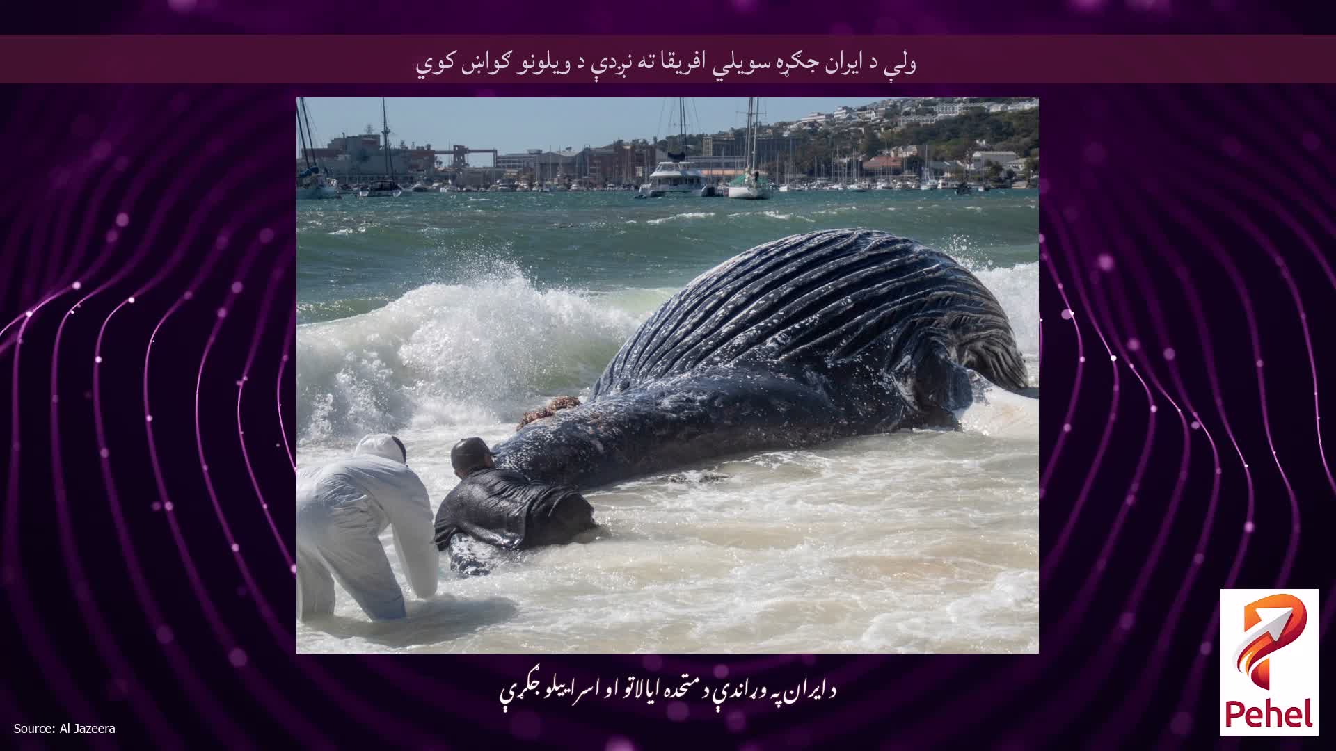 ولې د ایران جګړه سویلي افریقا ته نږدې د ویلونو ګواښ کوي