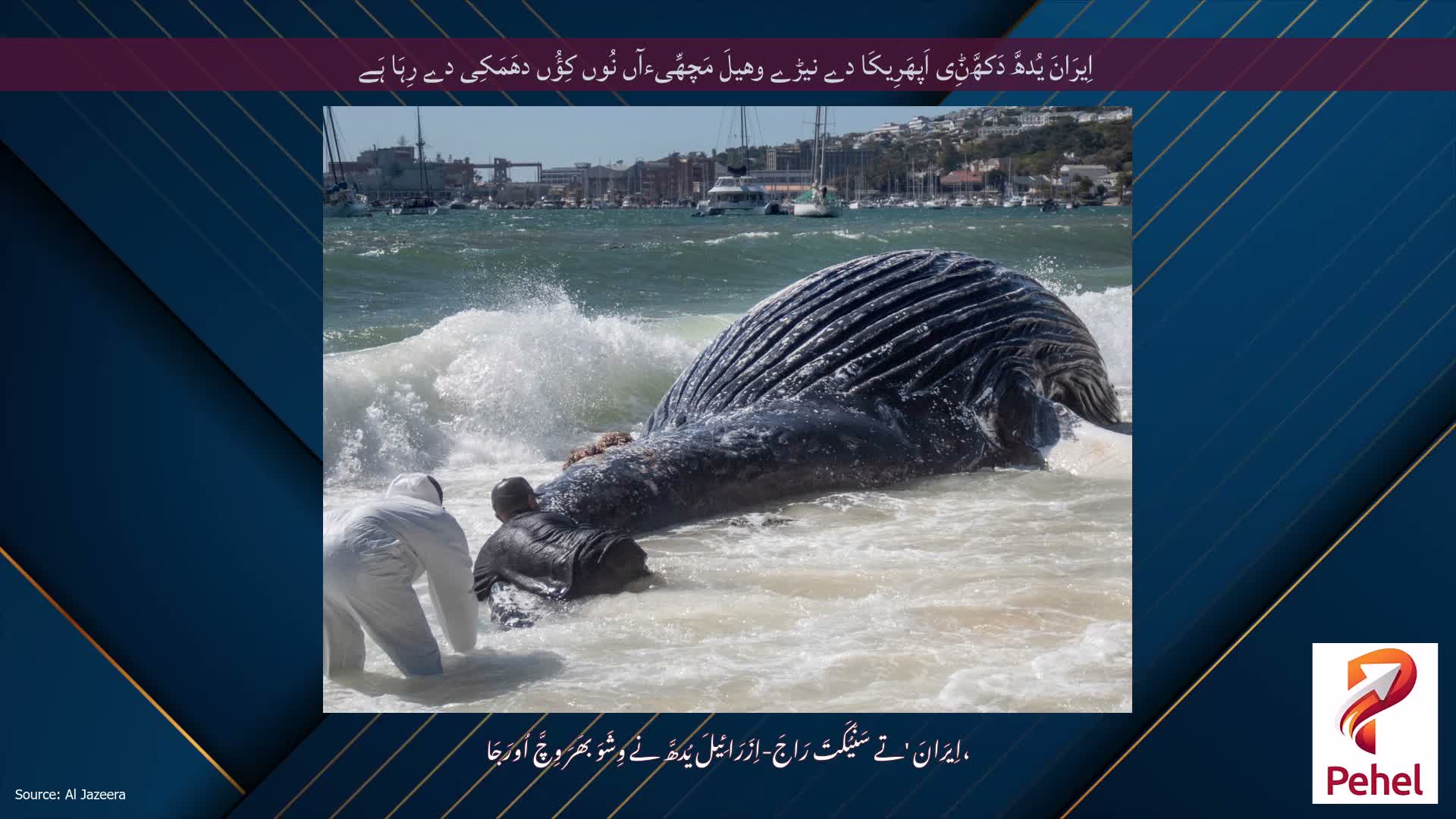 اِیرَانَ یُدھَّ دَکھَّݨِی اَپھَرِیکَا دے نیڑے وھیلَ مَچھِّیءآں نُوں کِؤُں دھَمَکِی دے رِہَا ہَے