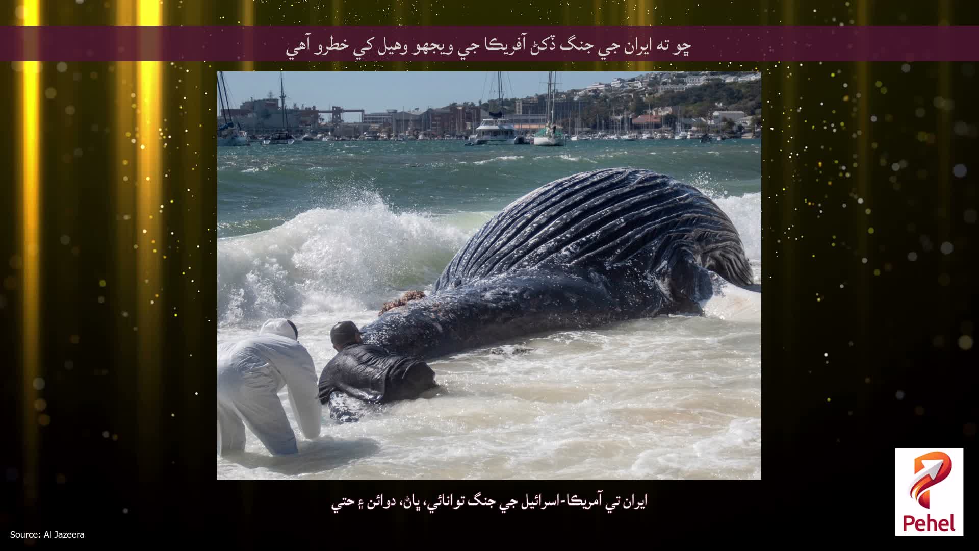 ڇو ته ايران جي جنگ ڏکڻ آفريڪا جي ويجهو وهيل کي خطرو آهي