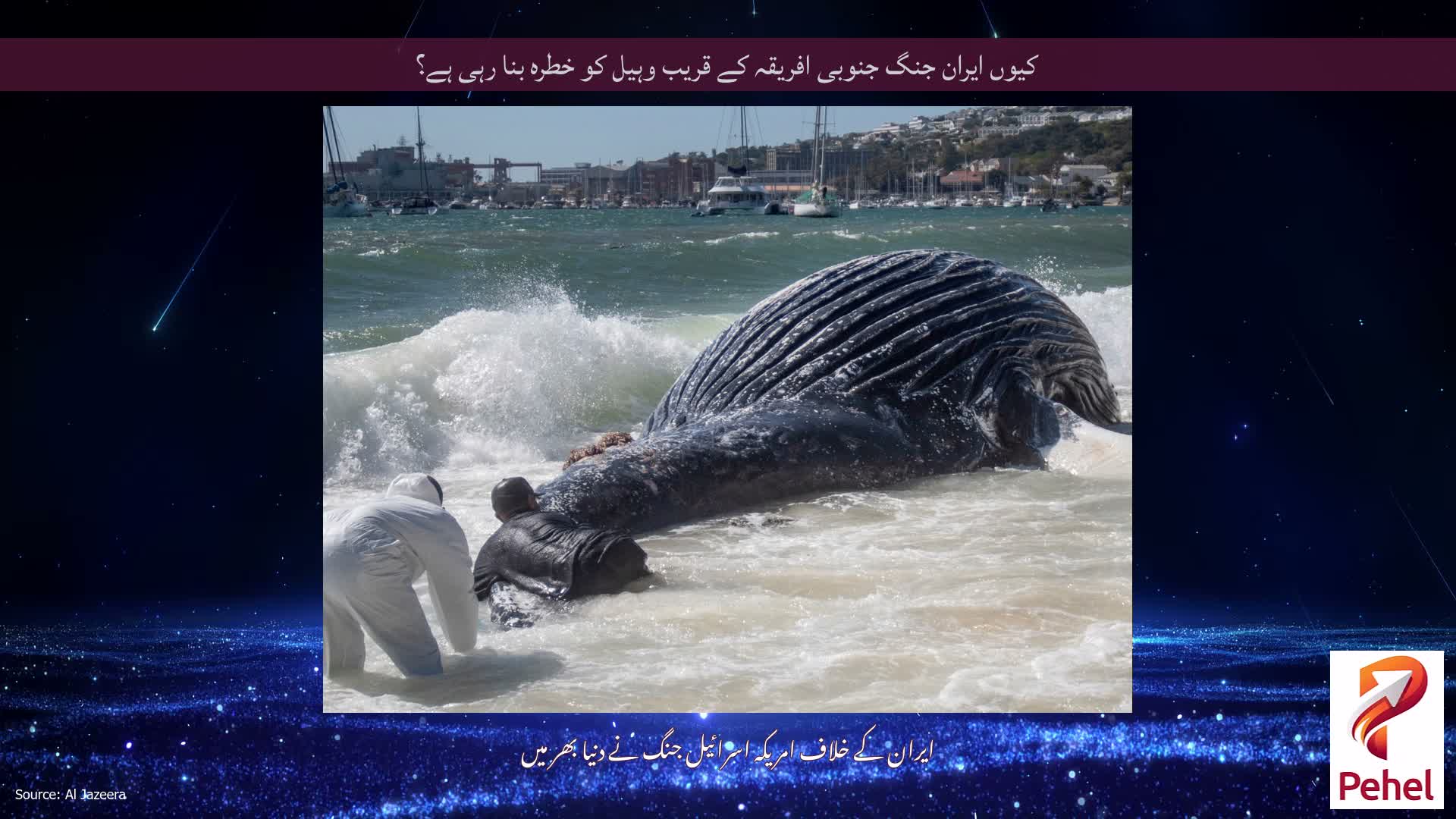 کیوں ایران جنگ جنوبی افریقہ کے قریب وہیل کو خطرہ بنا رہی ہے؟