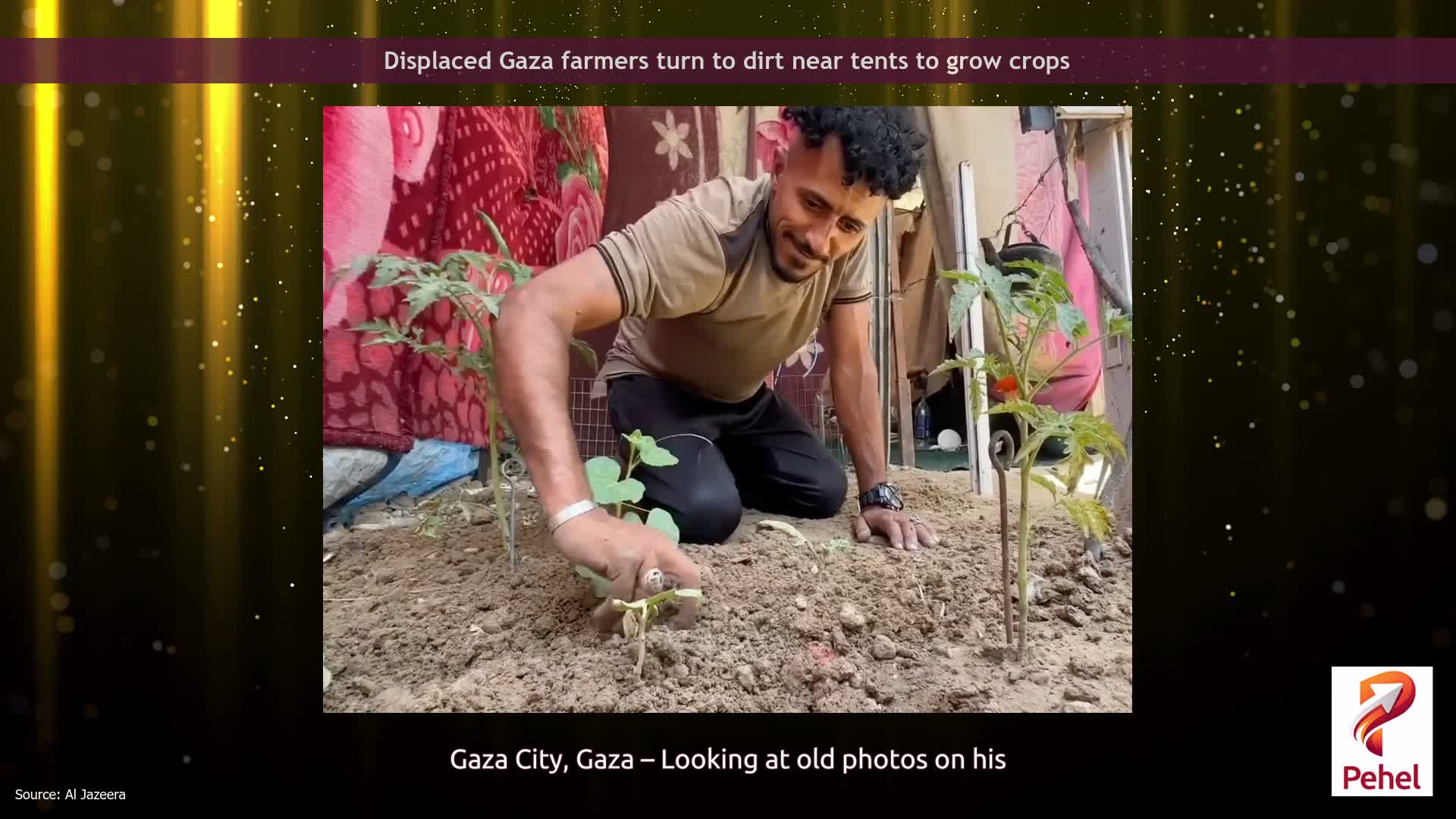 Displaced Gaza farmers turn to dirt near tents to grow crops