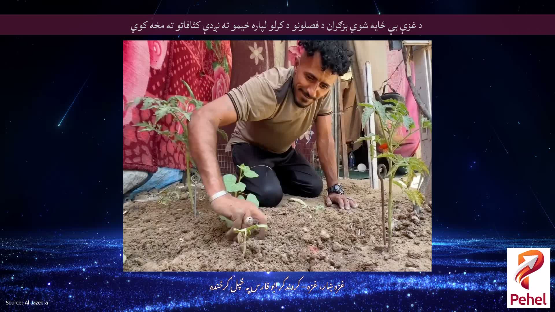 د غزې بې ځایه شوي بزګران د فصلونو د کرلو لپاره خیمو ته نږدې کثافاتو ته مخه کوي