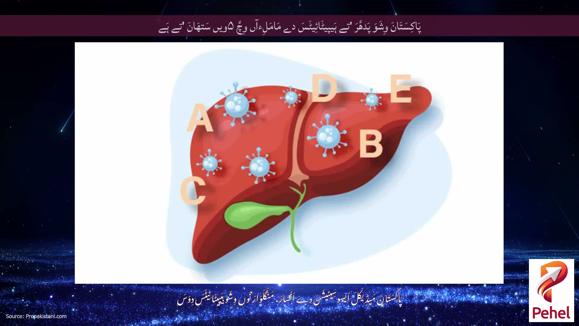 پَاکِسَتَانَ وِشَوَ پَدھَّرَ 'تے ہَیپیٹَائِیٹَسَ دے مَامَلِءآں وِچَّ ۵ویں سَتھَانَ 'تے ہَے