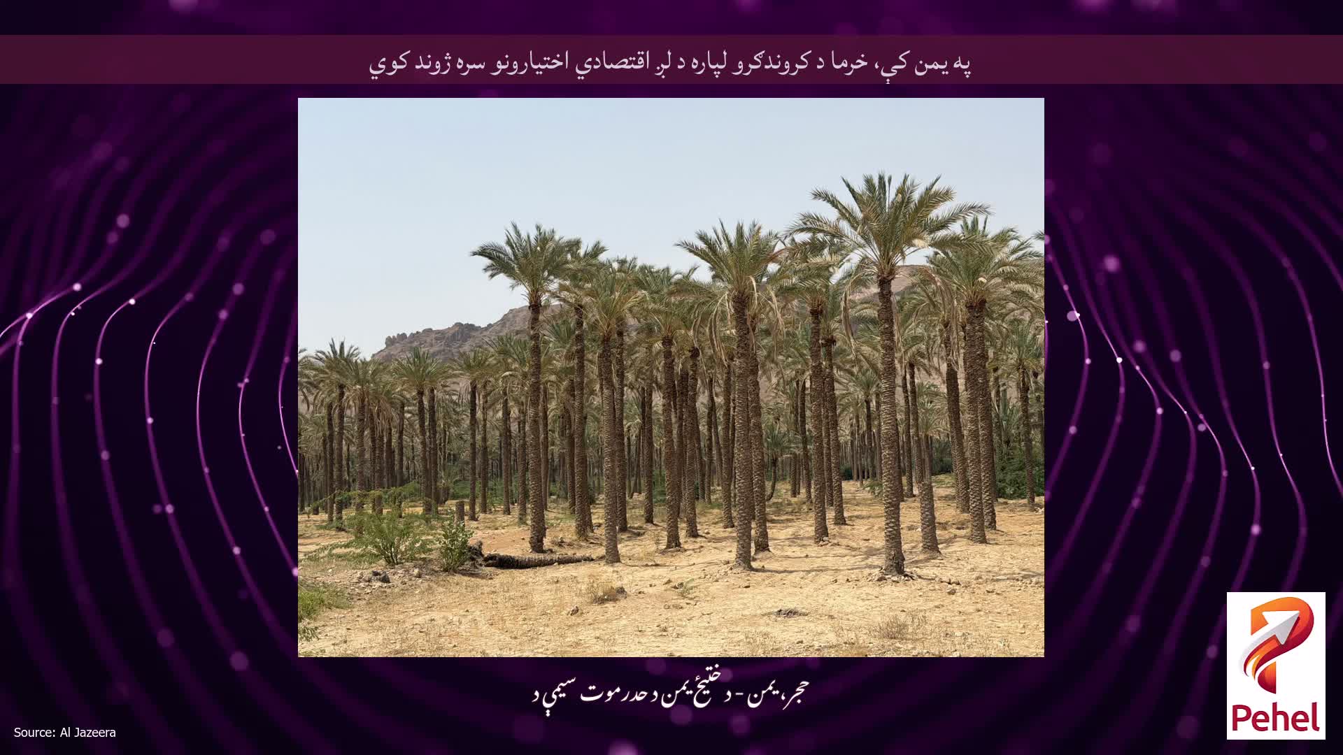 په یمن کې، خرما د کروندګرو لپاره د لږ اقتصادي اختیارونو سره ژوند کوي