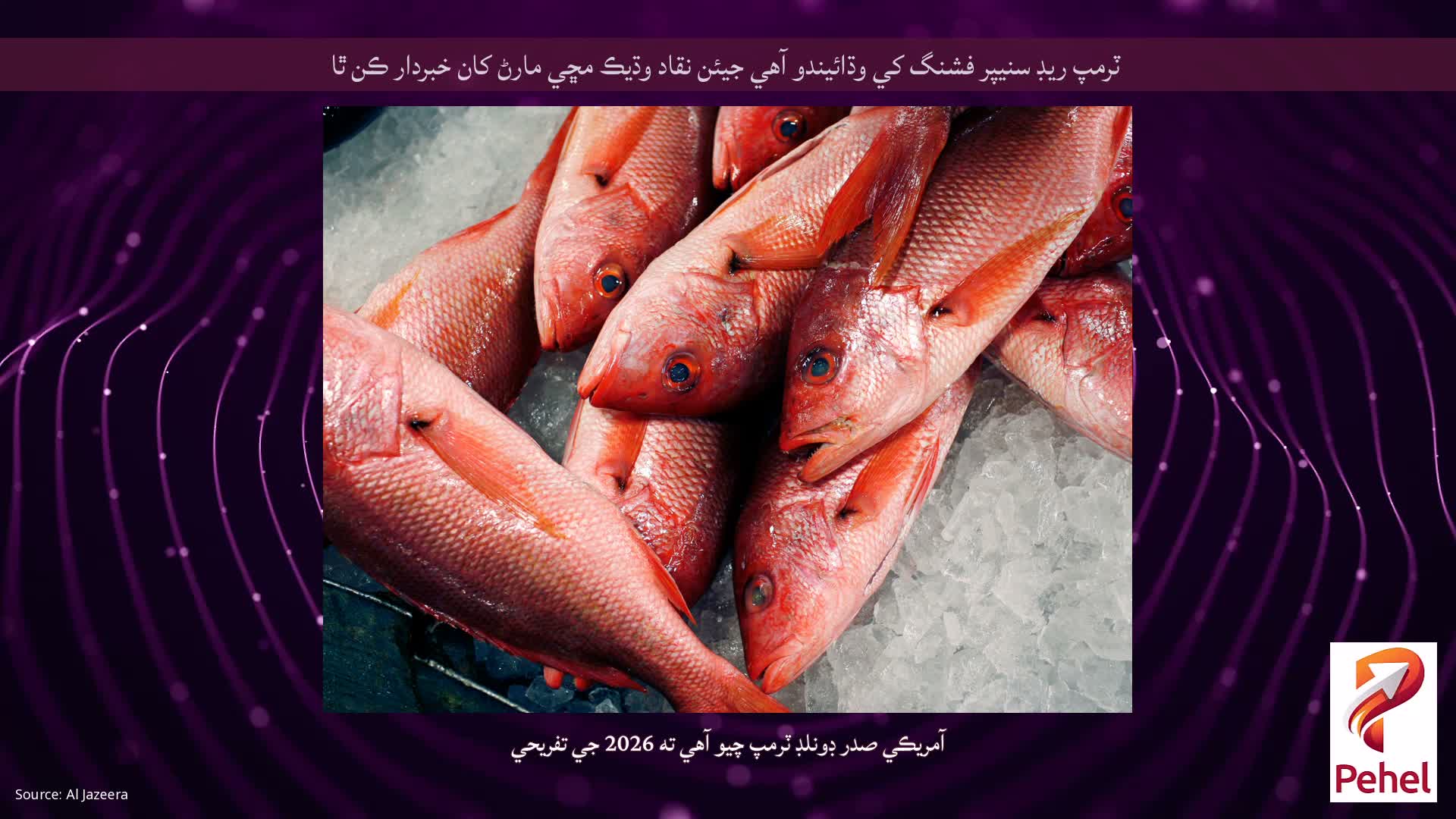 ٽرمپ ريڊ سنيپر فشنگ کي وڌائيندو آهي جيئن نقاد وڌيڪ مڇي مارڻ کان خبردار ڪن ٿا