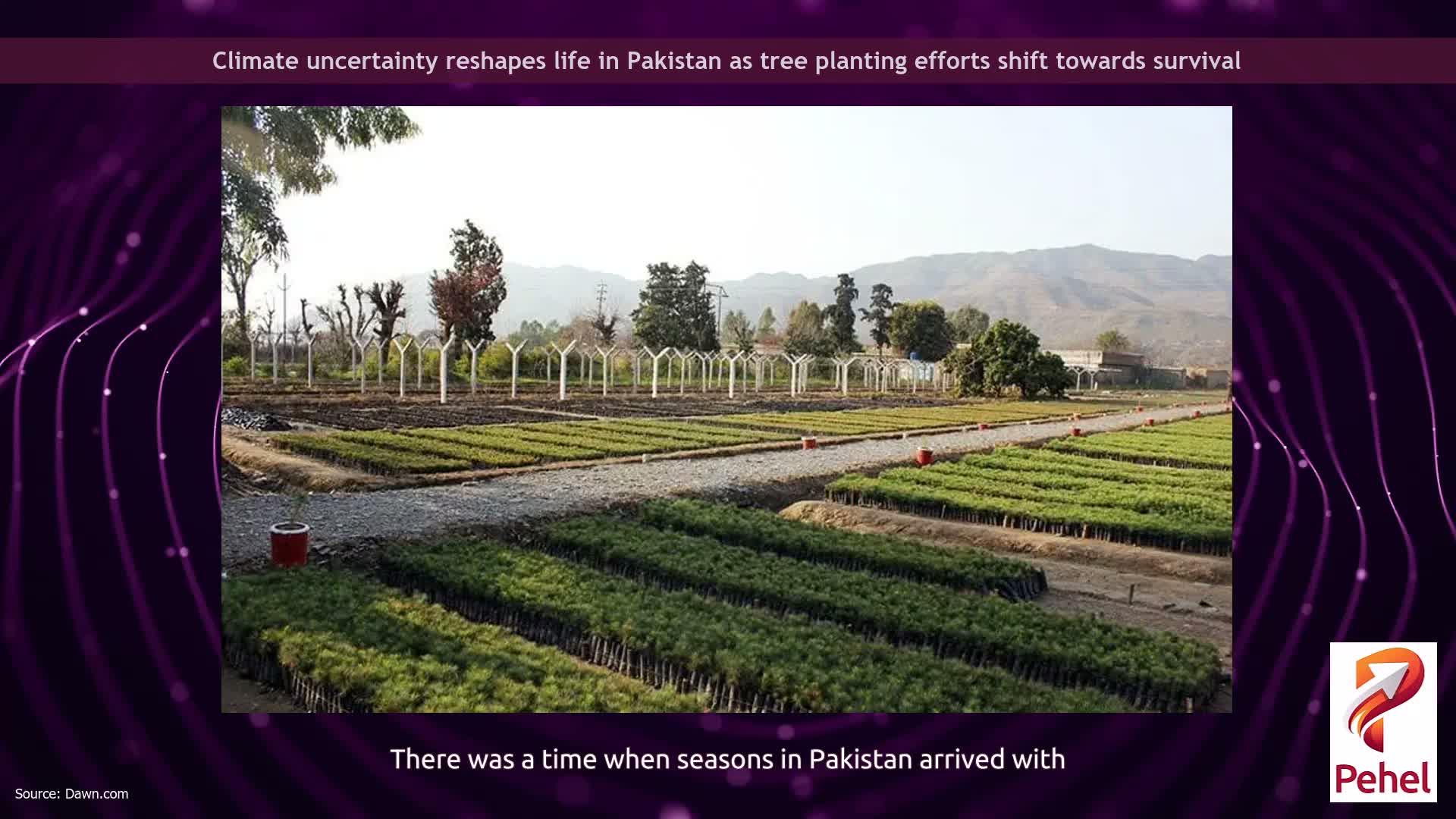 Climate uncertainty reshapes life in Pakistan as tree planting efforts shift towards survival