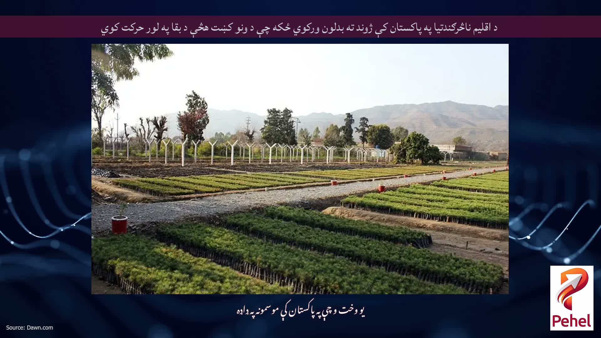 د اقلیم ناڅرګندتیا په پاکستان کې ژوند ته بدلون ورکوي ځکه چې د ونو کښت هڅې د بقا په لور حرکت کوي