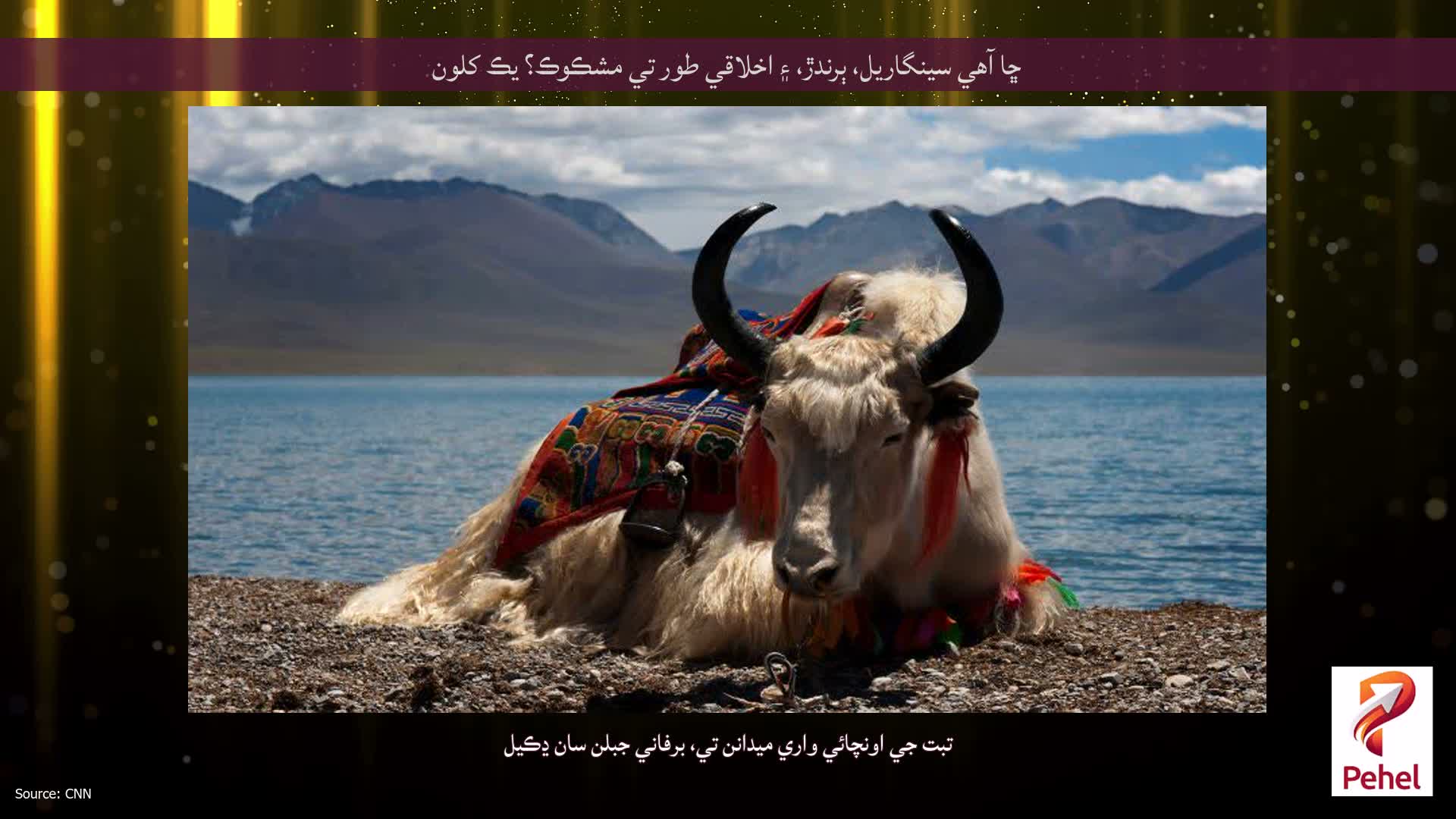 ڇا آهي سينگاريل، ٻرندڙ، ۽ اخلاقي طور تي مشڪوڪ؟ يڪ کلون