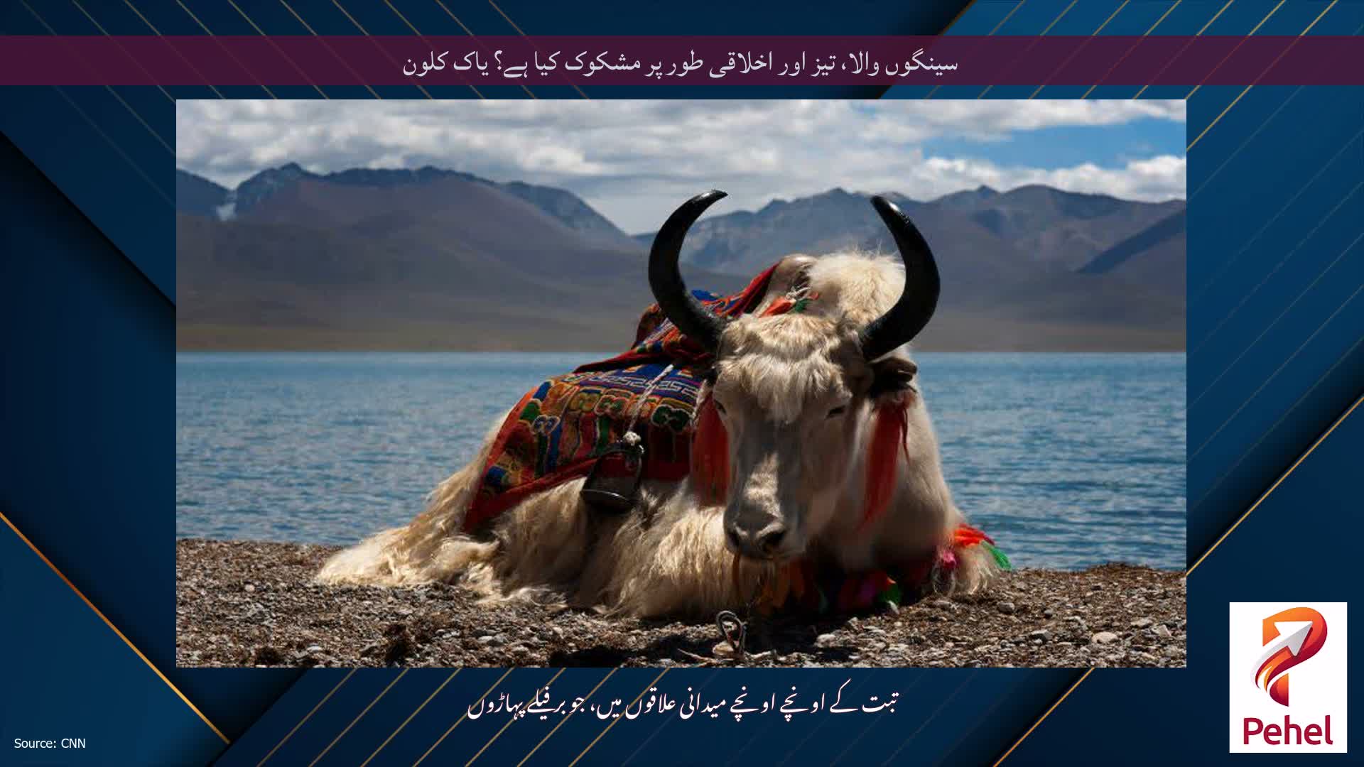 سینگوں والا، تیز اور اخلاقی طور پر مشکوک کیا ہے؟ یاک کلون