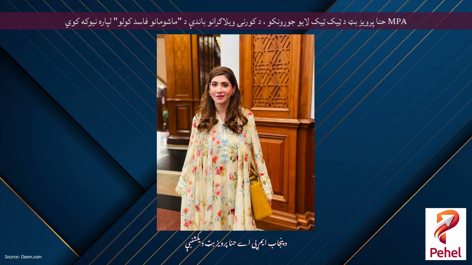 MPA حنا پرویز بټ د ټیک ټیک لایو جوړونکو ، د کورنۍ ویلاګرانو باندې د "ماشومانو فاسد کولو" لپاره نیوکه کوي