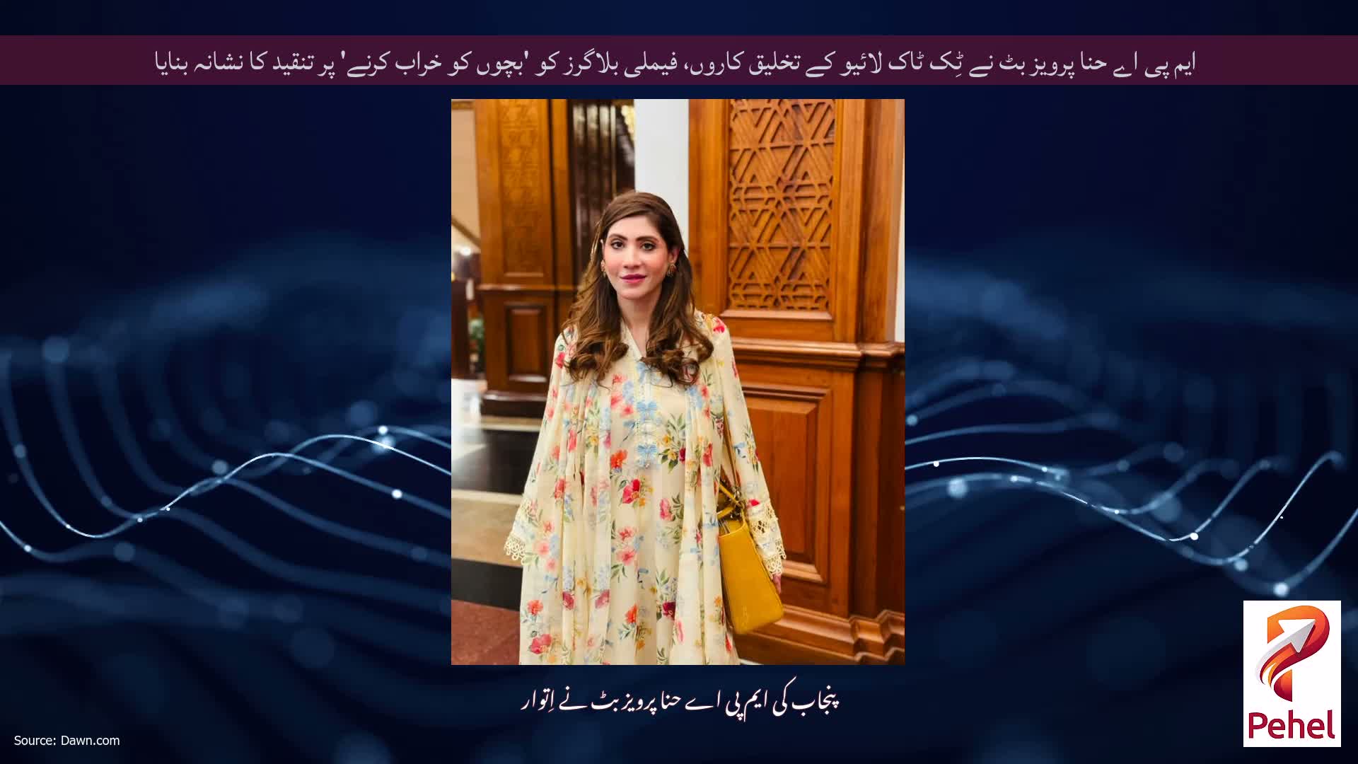 ایم پی اے حنا پرویز بٹ نے ٹِک ٹاک لائیو کے تخلیق کاروں، فیملی بلاگرز کو 'بچوں کو خراب کرنے' پر تنقید کا نشانہ بنایا