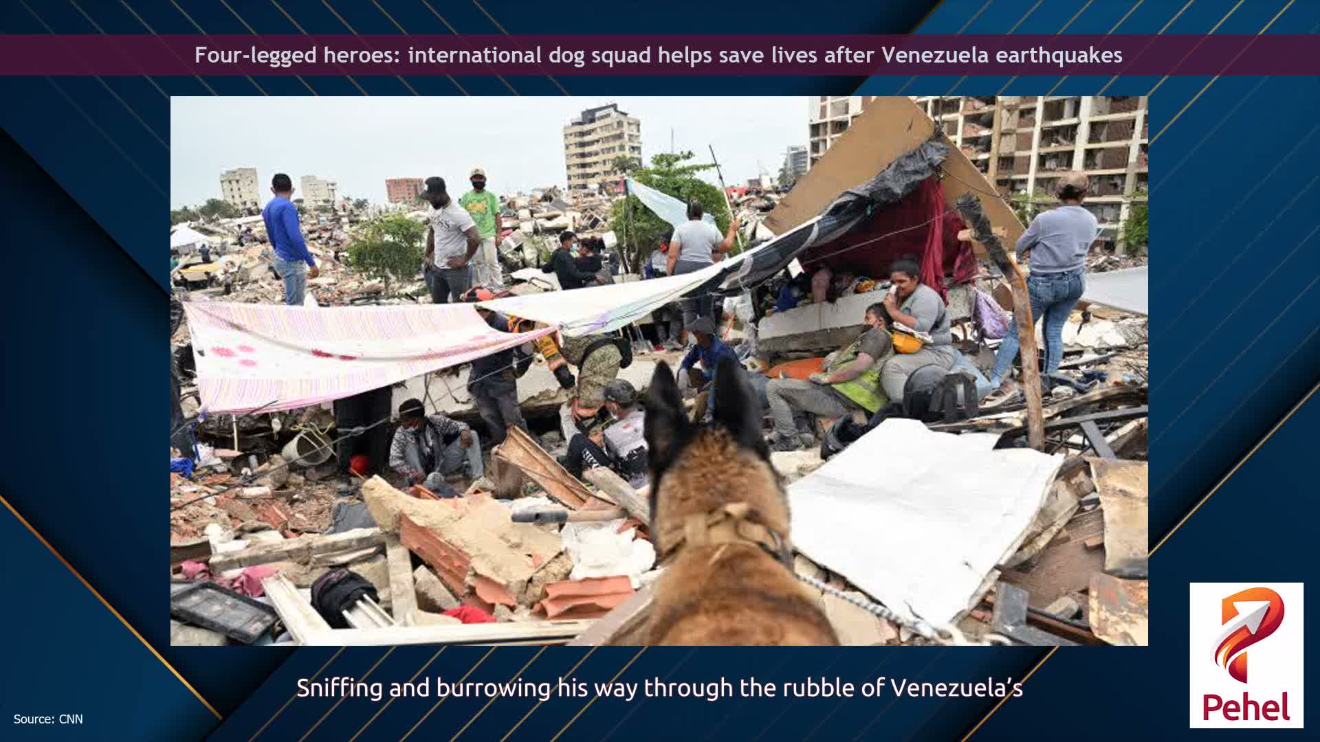Four-legged heroes: international dog squad helps save lives after Venezuela earthquakes