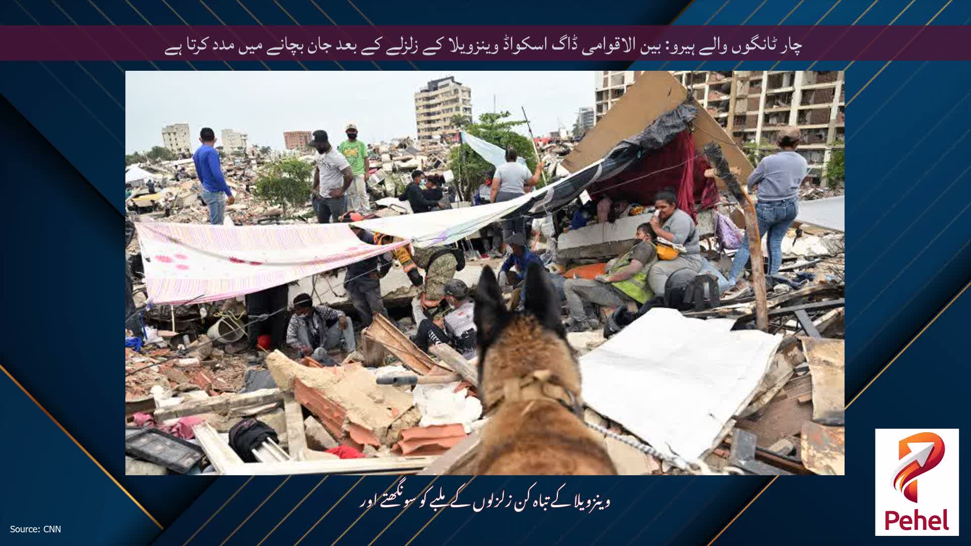 چار ٹانگوں والے ہیرو: بین الاقوامی ڈاگ اسکواڈ وینزویلا کے زلزلے کے بعد جان بچانے میں مدد کرتا ہے
