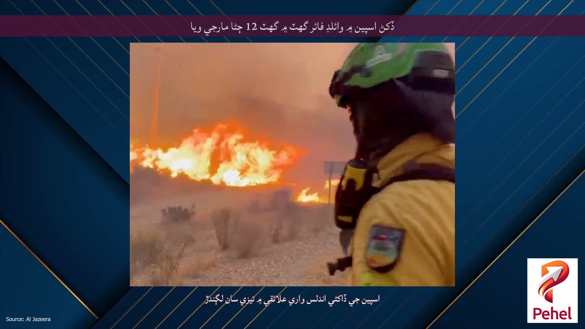 ڏکڻ اسپين ۾ وائلڊ فائر گهٽ ۾ گهٽ 12 ڄڻا مارجي ويا