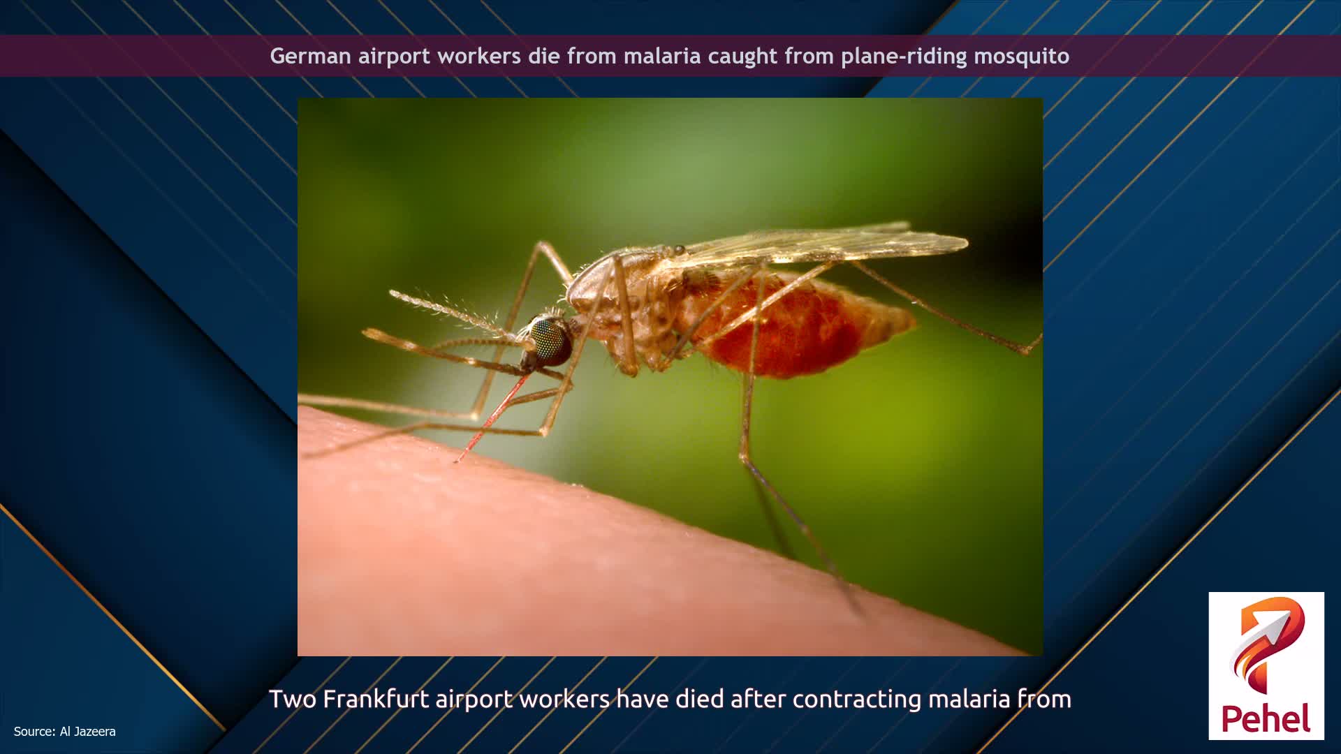 German airport workers die from malaria caught from plane-riding mosquito
