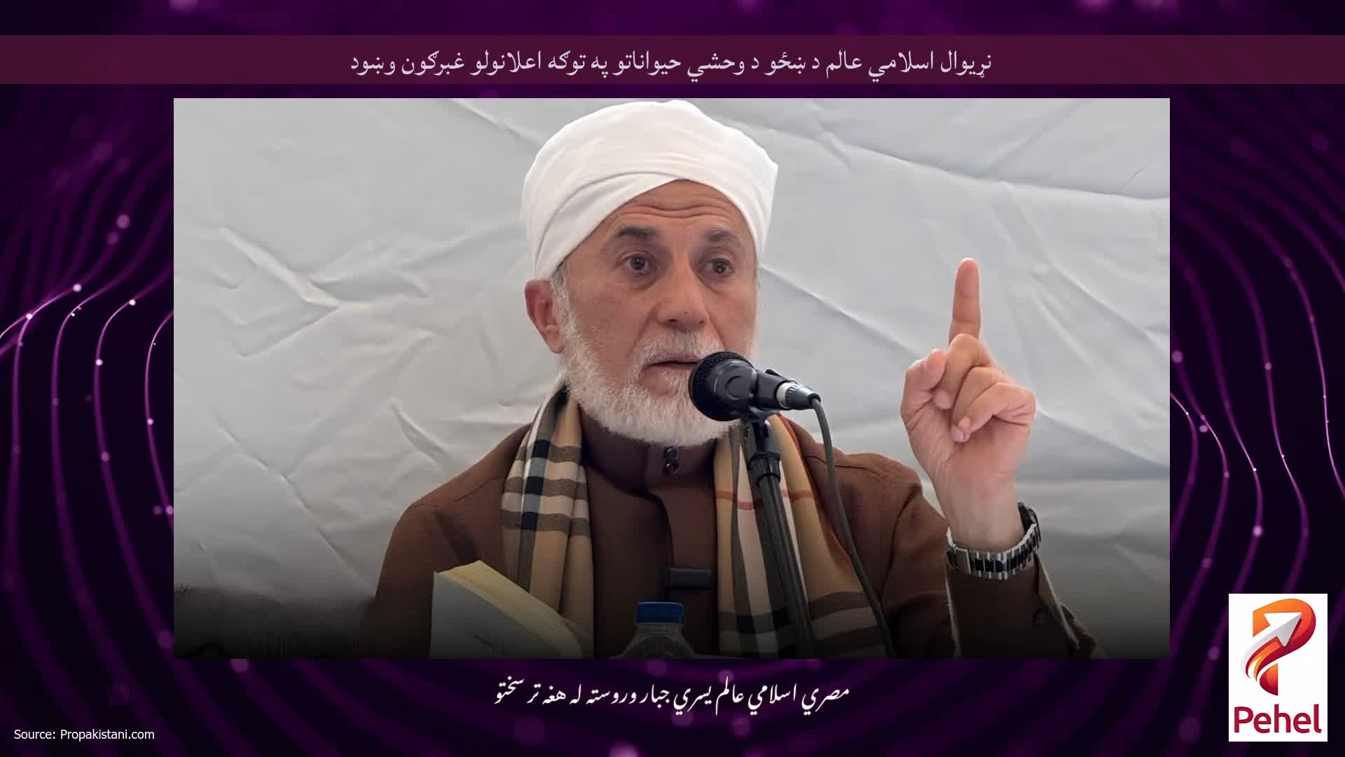 نړیوال اسلامي عالم د ښځو د وحشي حیواناتو په توګه اعلانولو غبرګون وښود
