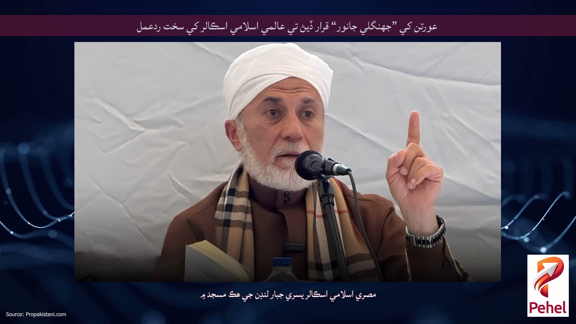 عورتن کي ”جهنگلي جانور“ قرار ڏيڻ تي عالمي اسلامي اسڪالر کي سخت ردعمل