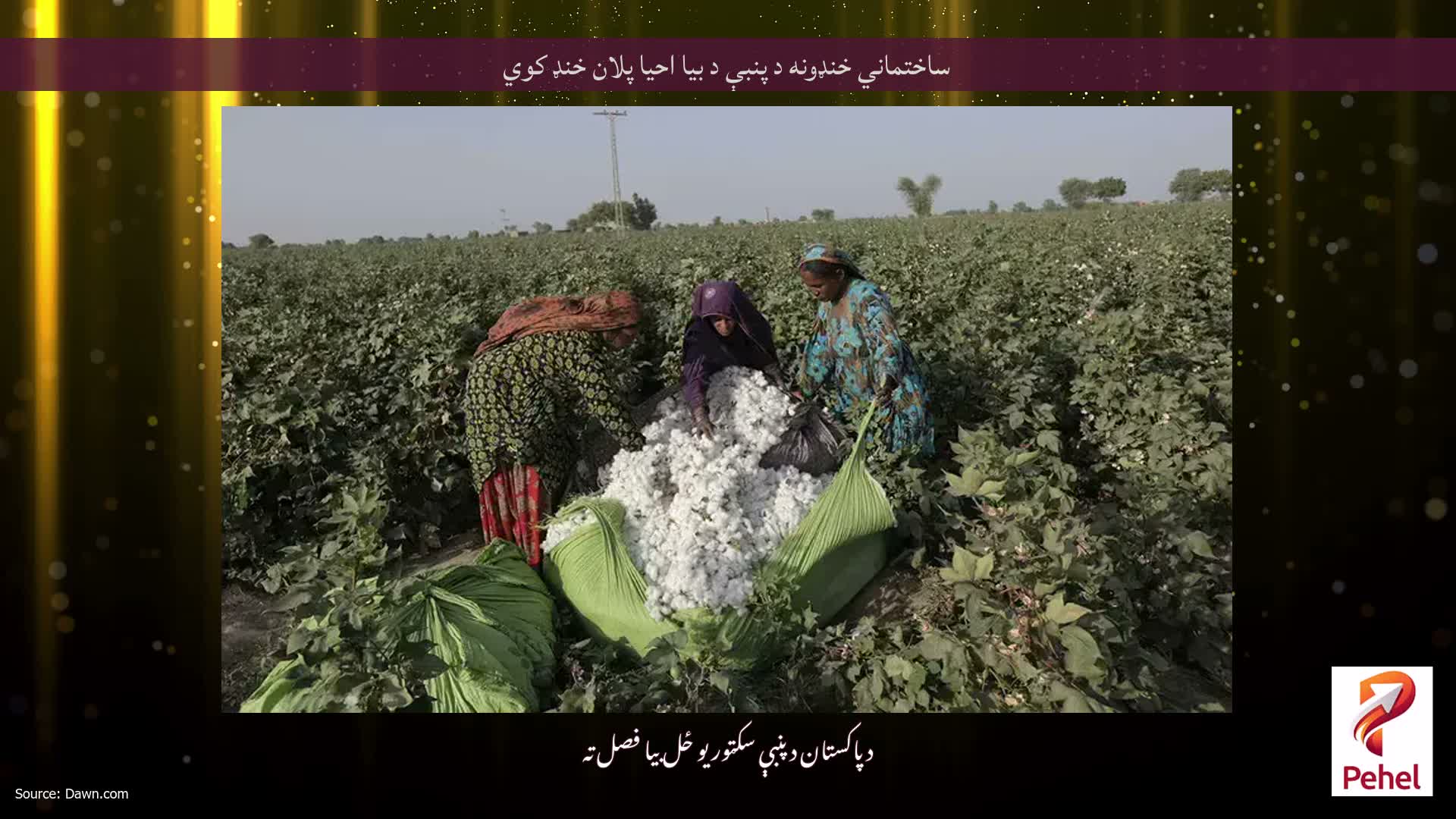ساختماني خنډونه د پنبې د بیا احیا پلان خنډ کوي