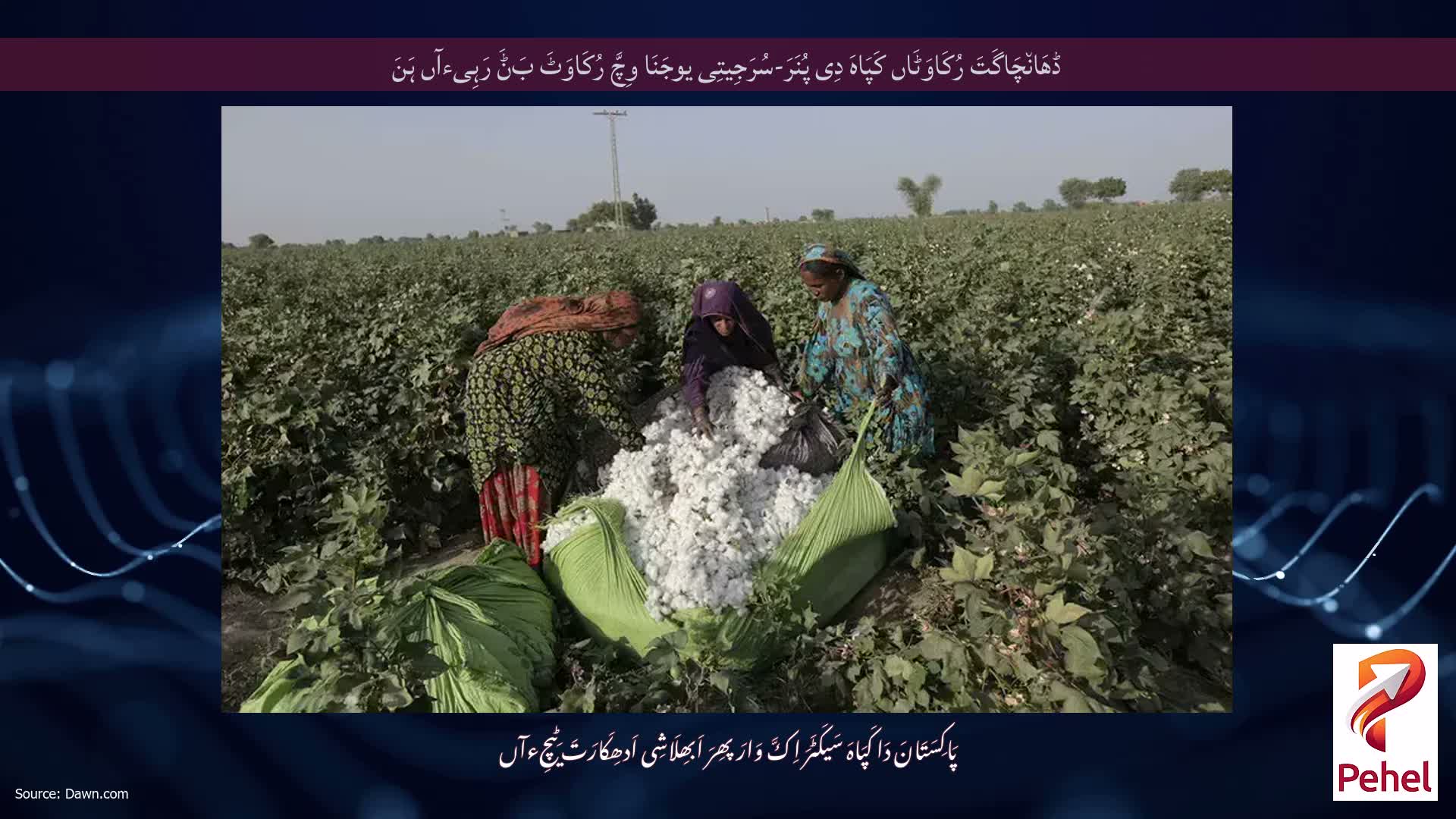 ڈھَان٘چَاگَتَ رُکَاوَٹَاں کَپَاہَ دِی پُنَرَ-سُرَجِیتِی یوجَنَا وِچَّ رُکَاوَٹَ بَݨَ رَہِیءآں ہَنَ