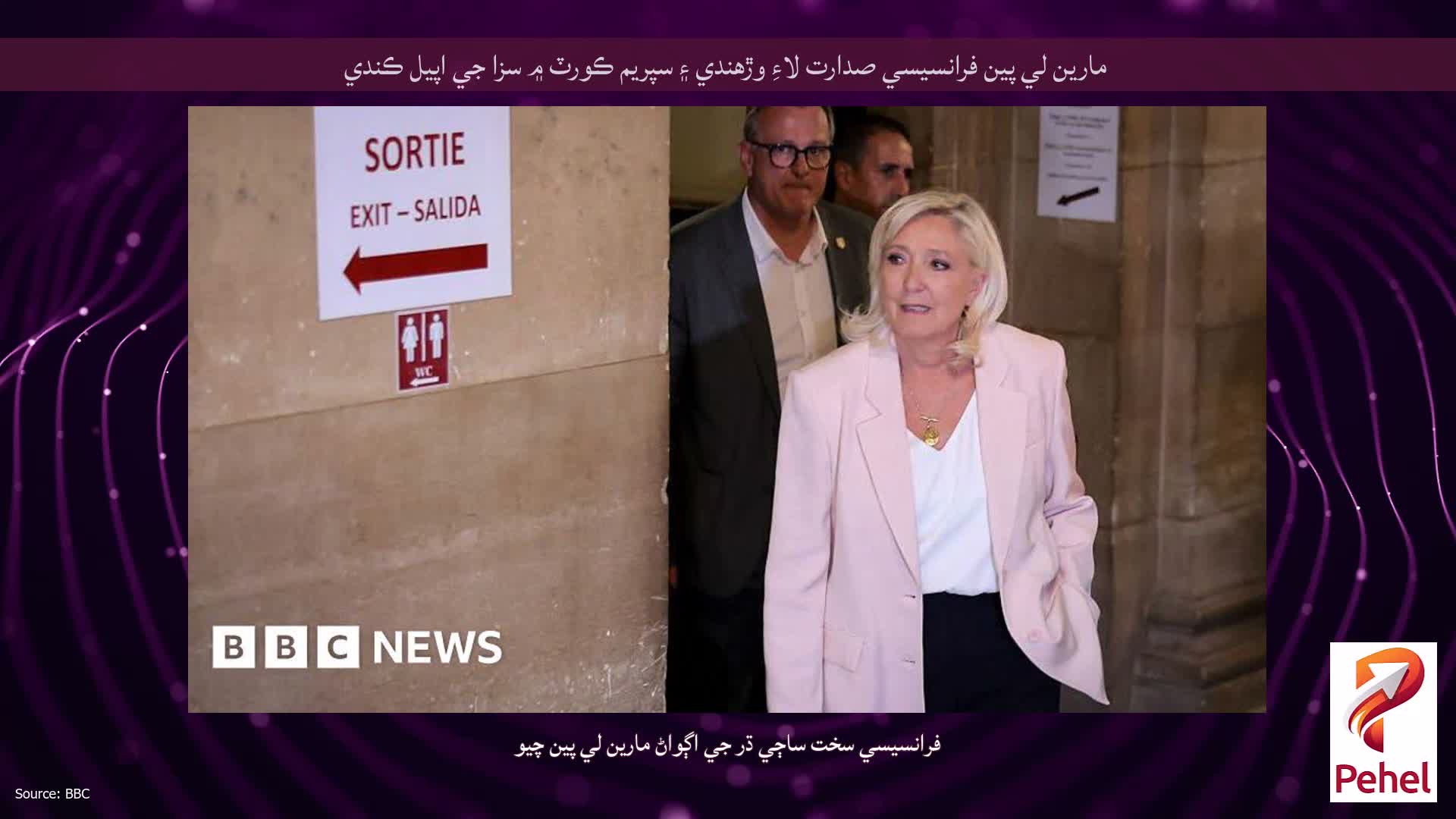 مارين لي پين فرانسيسي صدارت لاءِ وڙهندي ۽ سپريم ڪورٽ ۾ سزا جي اپيل ڪندي