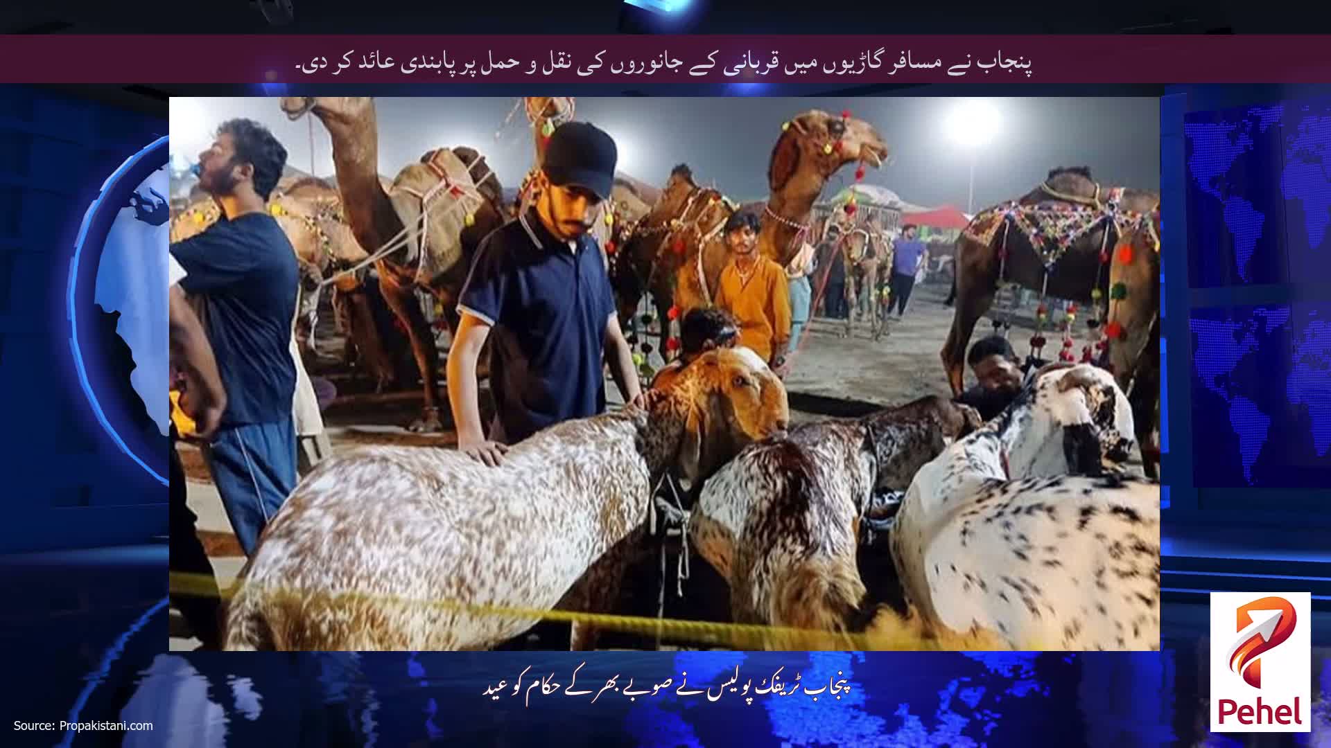 پنجاب نے مسافر گاڑیوں میں قربانی کے جانوروں کی نقل و حمل پر پابندی عائد کر دی۔