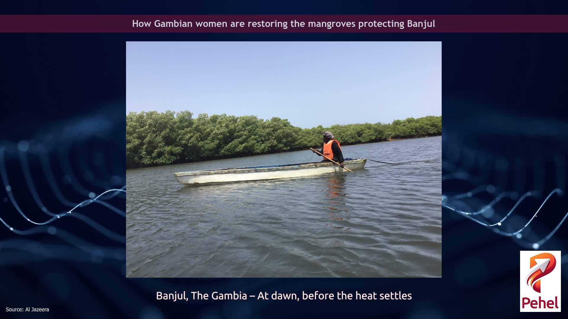 How Gambian women are restoring the mangroves protecting Banjul