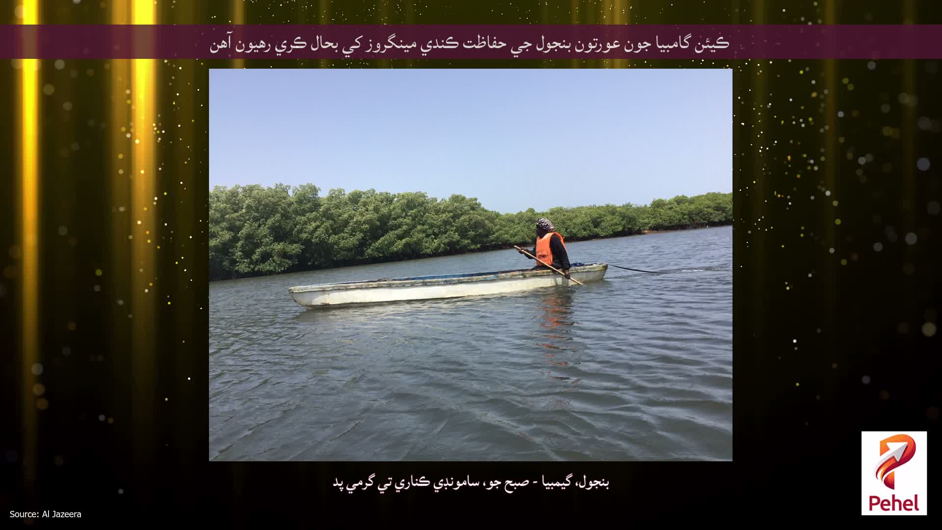 ڪيئن گامبيا جون عورتون بنجول جي حفاظت ڪندي مينگروز کي بحال ڪري رهيون آهن