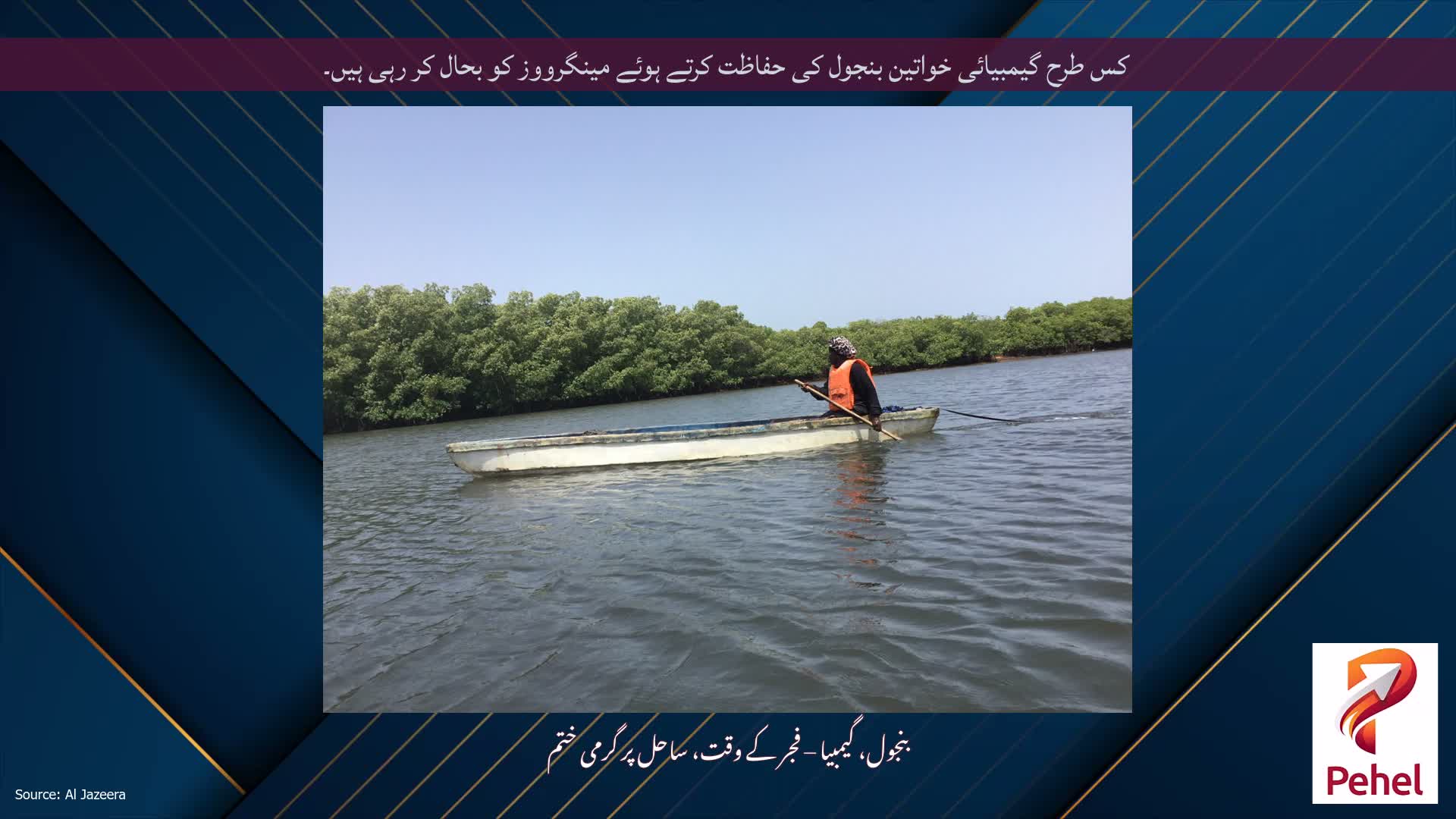 کس طرح گیمبیائی خواتین بنجول کی حفاظت کرتے ہوئے مینگرووز کو بحال کر رہی ہیں۔