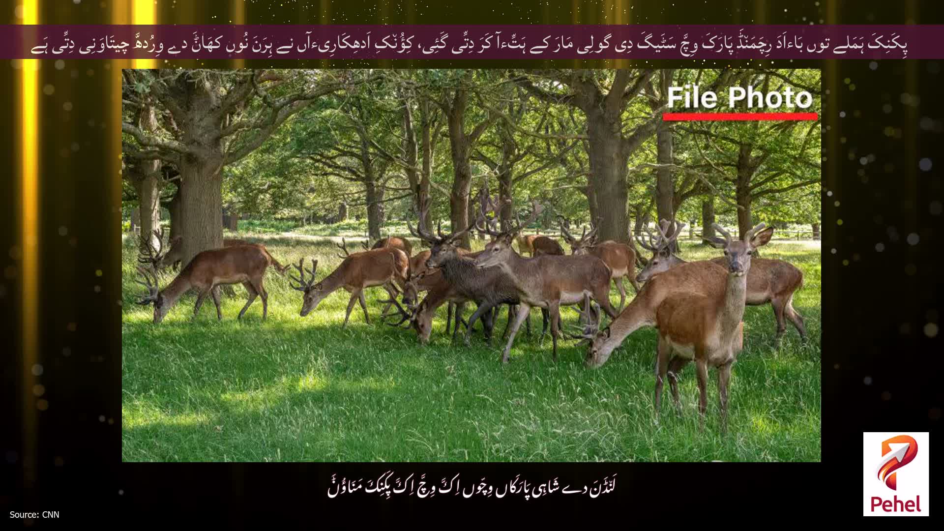 پِکَنِکَ ہَمَلے توں بَاءاَدَ رِچَمَن٘ڈَ پَارَکَ وِچَّ سَٹَیگَ دِی گولِی مَارَ کے ہَتِّءآ کَرَ دِتِّی گَئِی، کِؤُن٘کِ اَدھِکَارِیءآں نے ہِرَنَ نُوں کھَاݨَ دے وِرُدھَّ چیتَاوَنِی دِتِّی ہَے