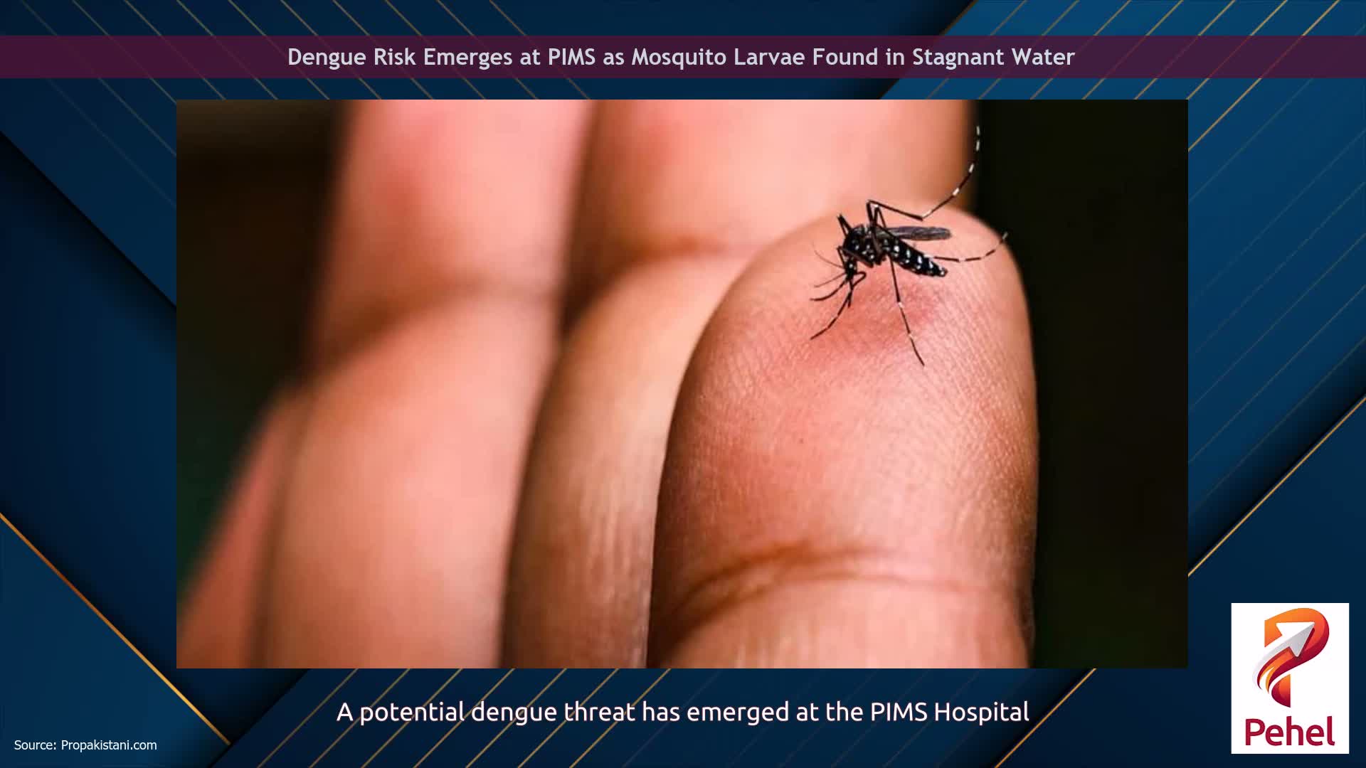 Dengue Risk Emerges at PIMS as Mosquito Larvae Found in Stagnant Water