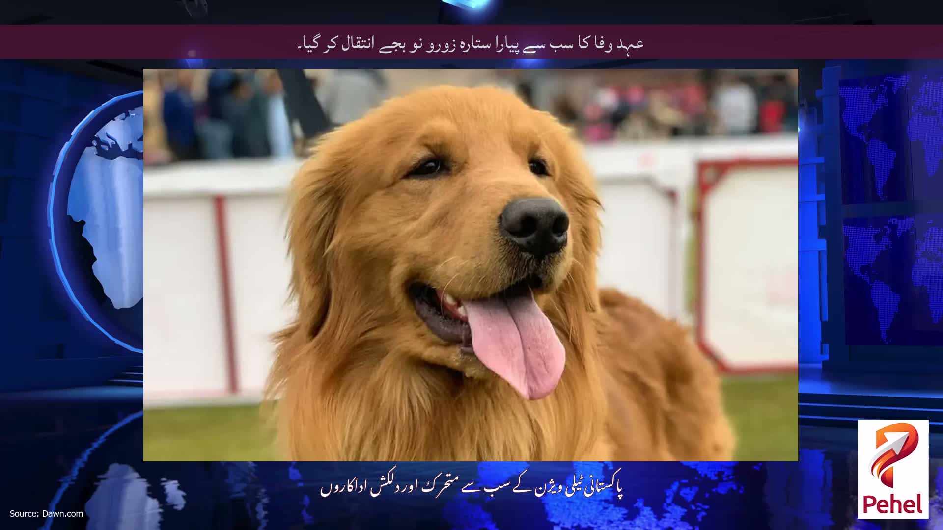 عہد وفا کا سب سے پیارا ستارہ زورو نو بجے انتقال کر گیا۔