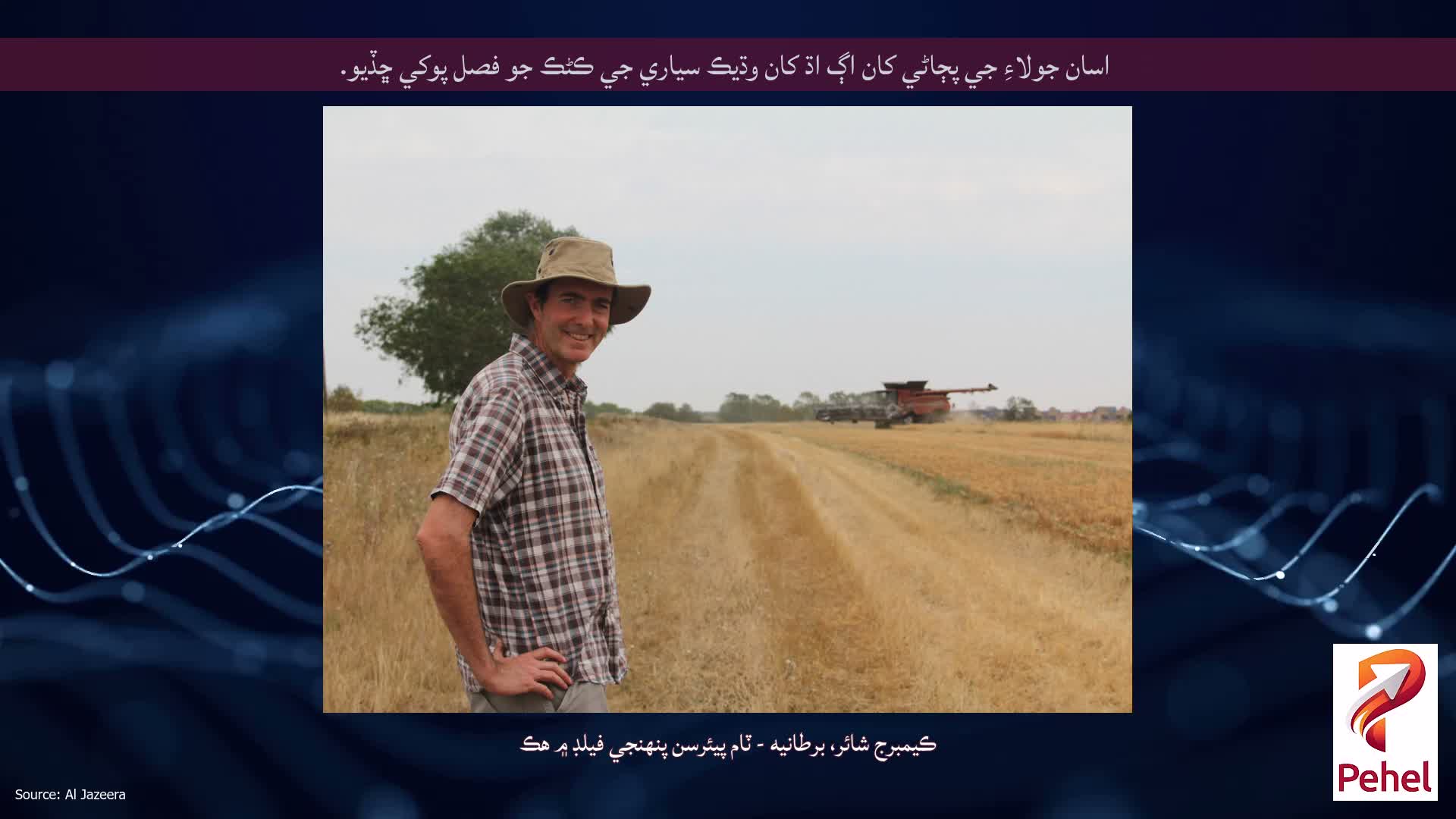 اسان جولاءِ جي پڄاڻي کان اڳ اڌ کان وڌيڪ سياري جي ڪڻڪ جو فصل پوکي ڇڏيو.