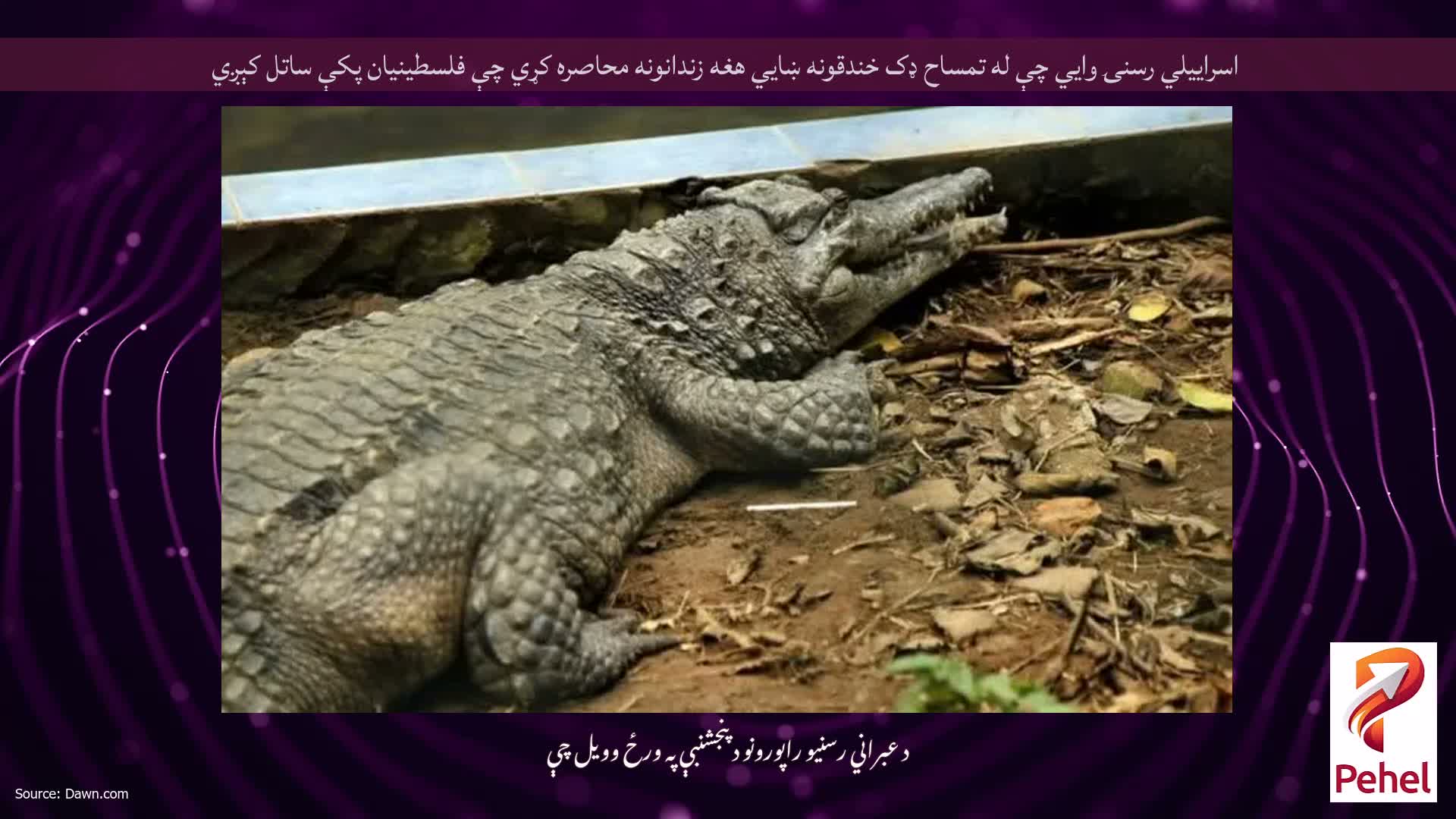 اسراييلي رسنۍ وايي چې له تمساح ډک خندقونه ښايي هغه زندانونه محاصره کړي چې فلسطينيان پکې ساتل کېږي