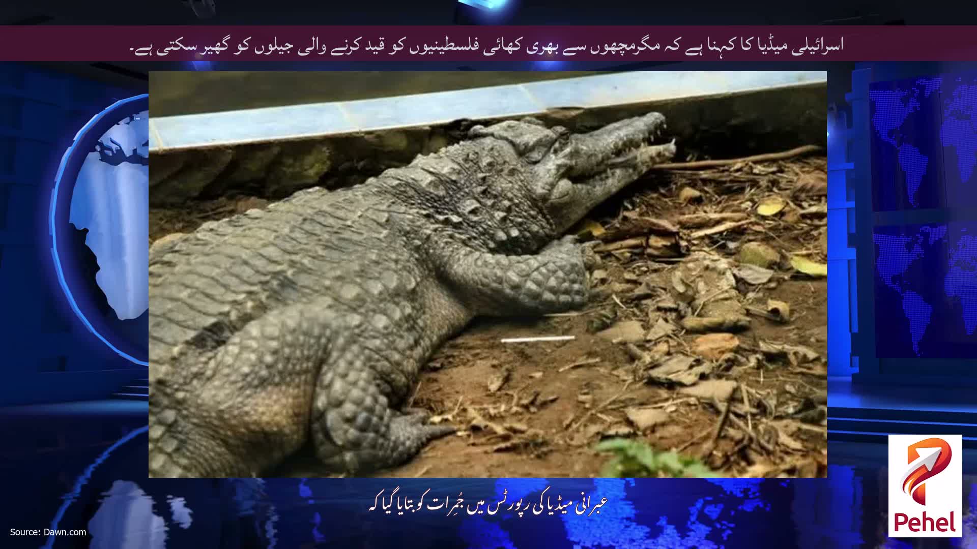 اسرائیلی میڈیا کا کہنا ہے کہ مگرمچھوں سے بھری کھائی فلسطینیوں کو قید کرنے والی جیلوں کو گھیر سکتی ہے۔