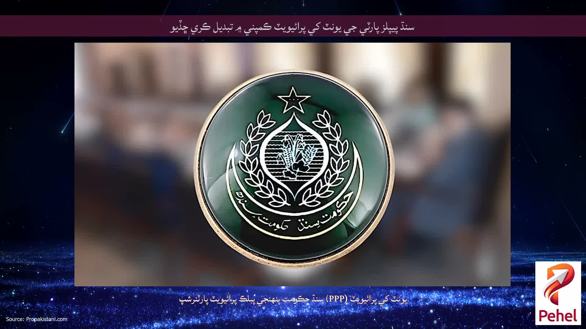 سنڌ پيپلز پارٽي جي يونٽ کي پرائيويٽ ڪمپني ۾ تبديل ڪري ڇڏيو