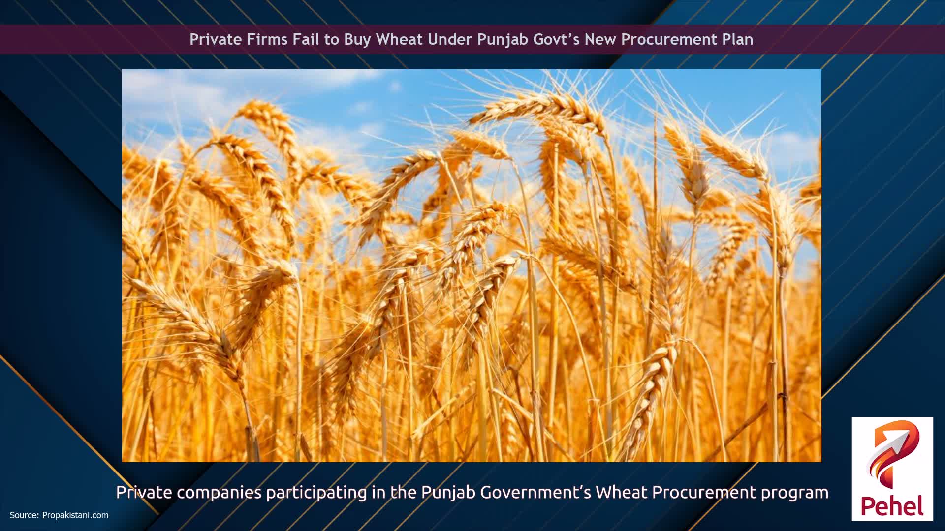 Private Firms Fail to Buy Wheat Under Punjab Govt’s New Procurement Plan