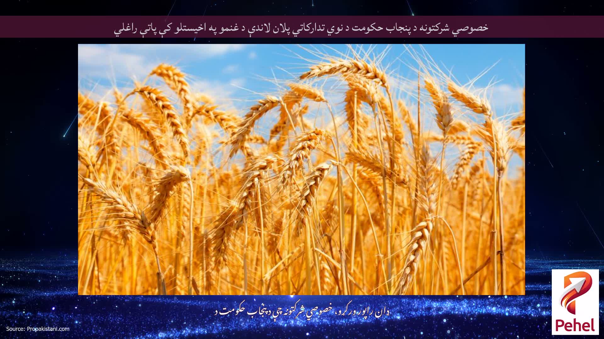 خصوصي شرکتونه د پنجاب حکومت د نوي تدارکاتي پلان لاندې د غنمو په اخیستلو کې پاتې راغلي